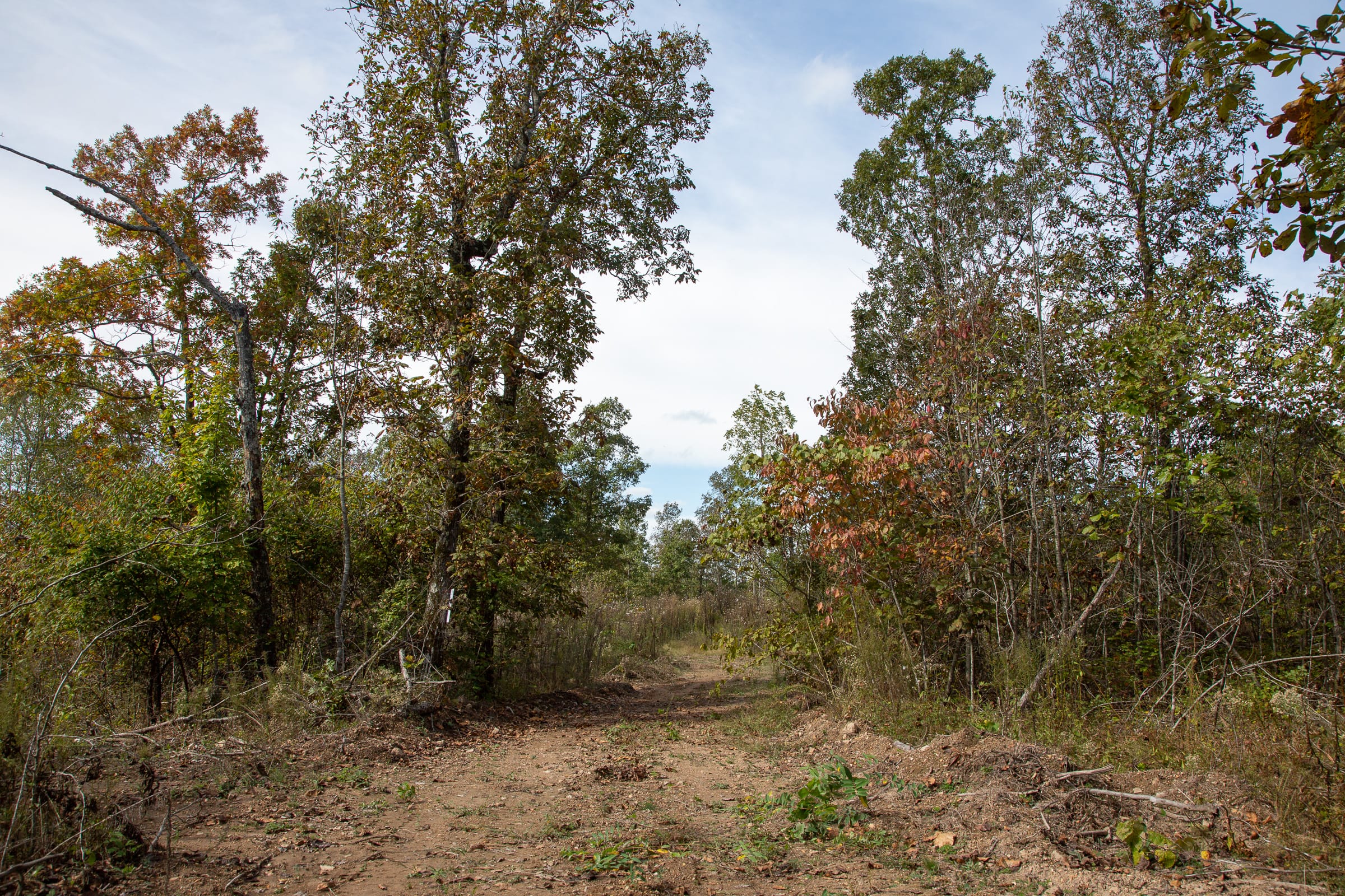 Borgmann’s Hollow Phase IV Tract 133 photo 2