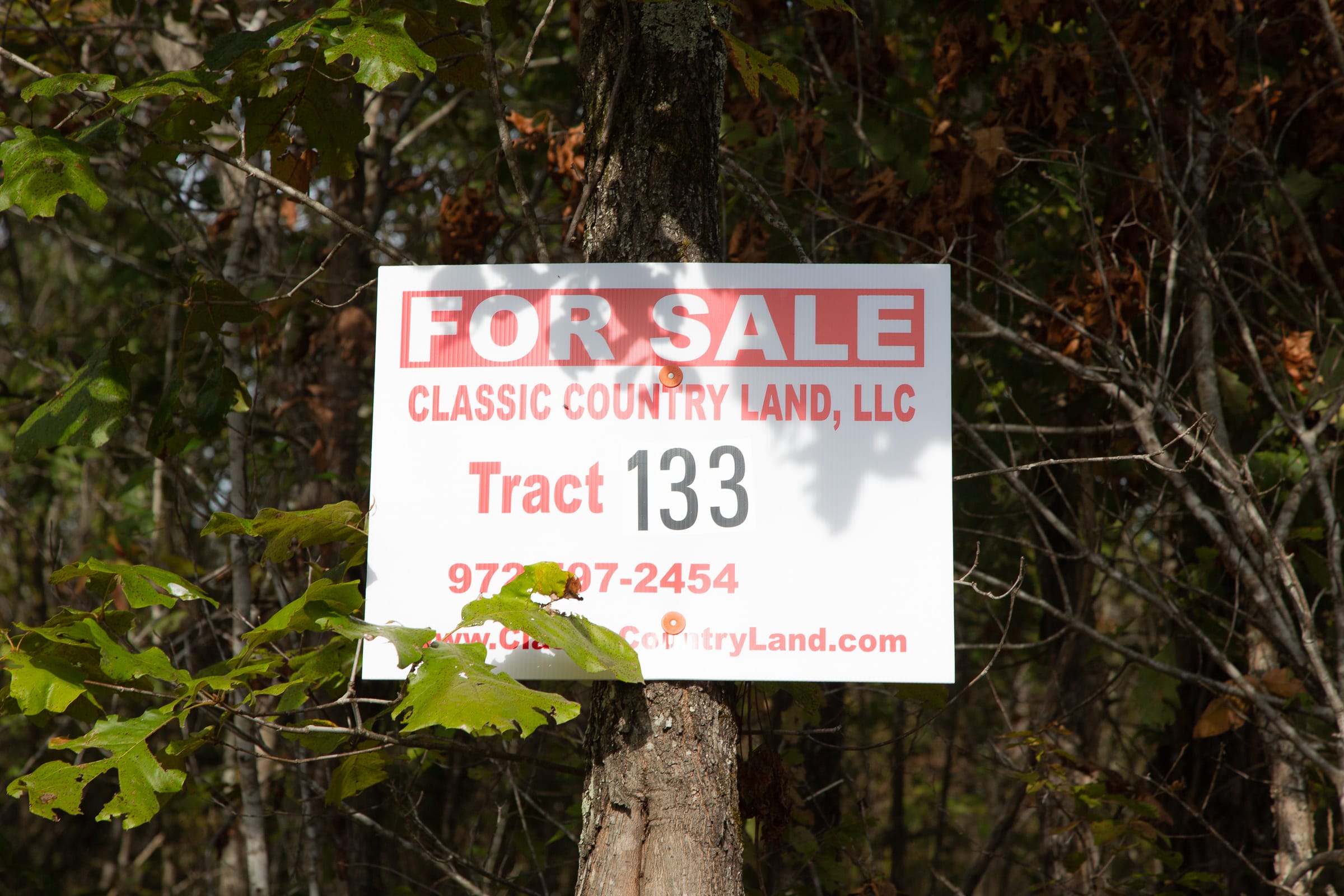 Borgmann’s Hollow Phase IV Tract 133 photo 1