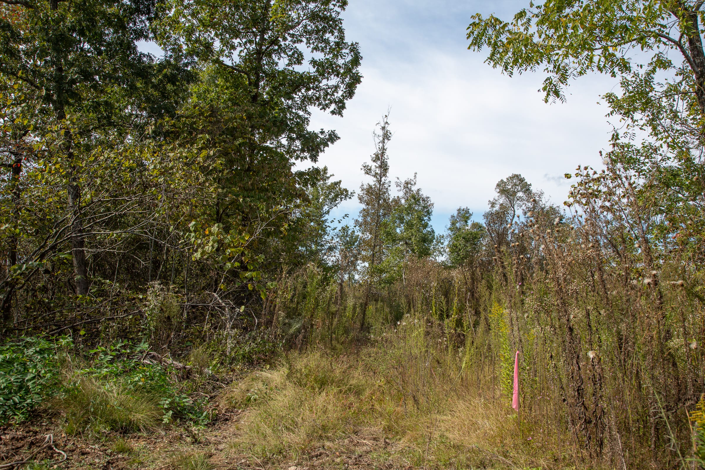 Borgmann’s Hollow Phase IV Tract 133 photo 7