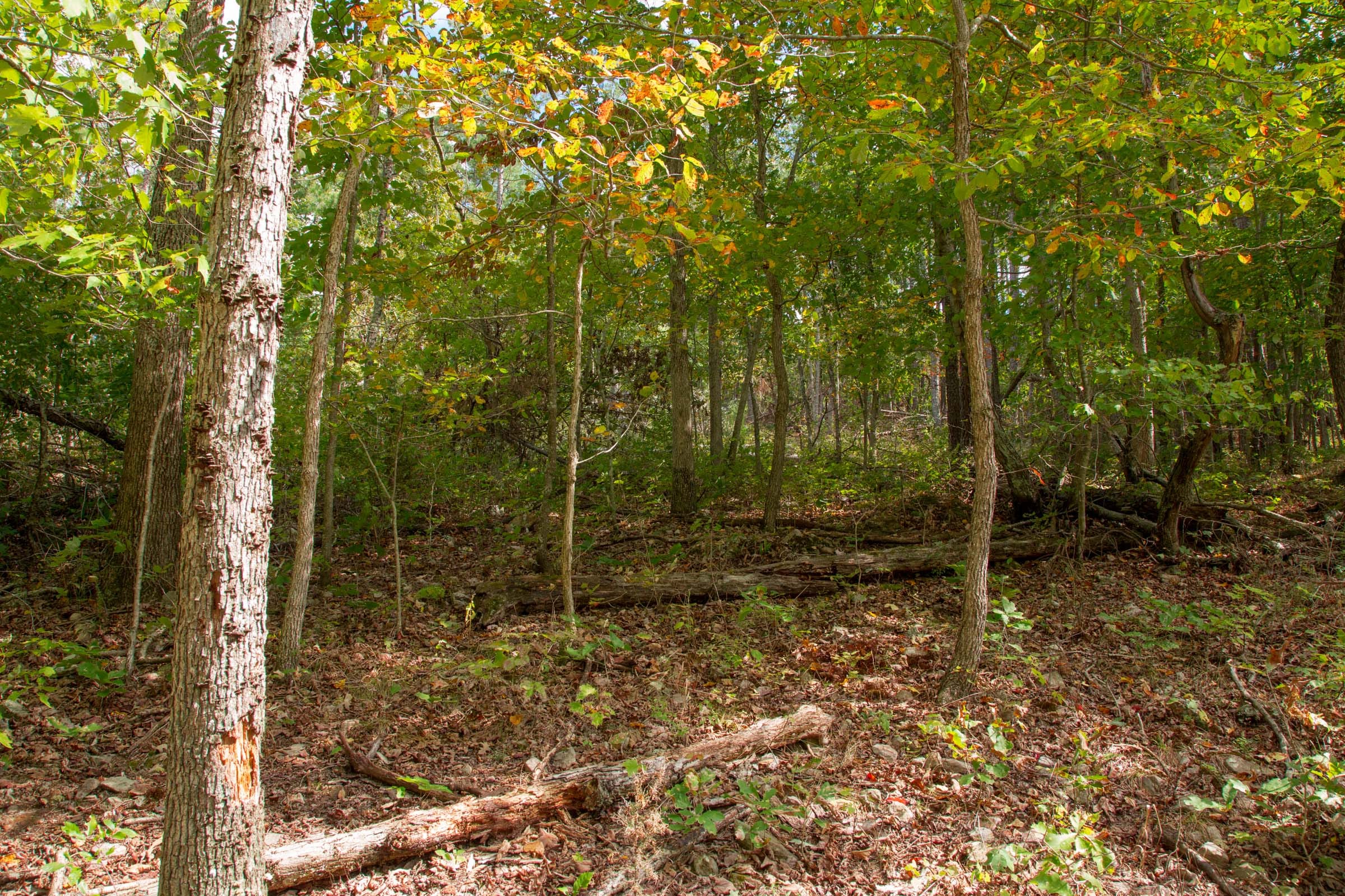 Wagon Wheel Ranch Tract 50 photo 3