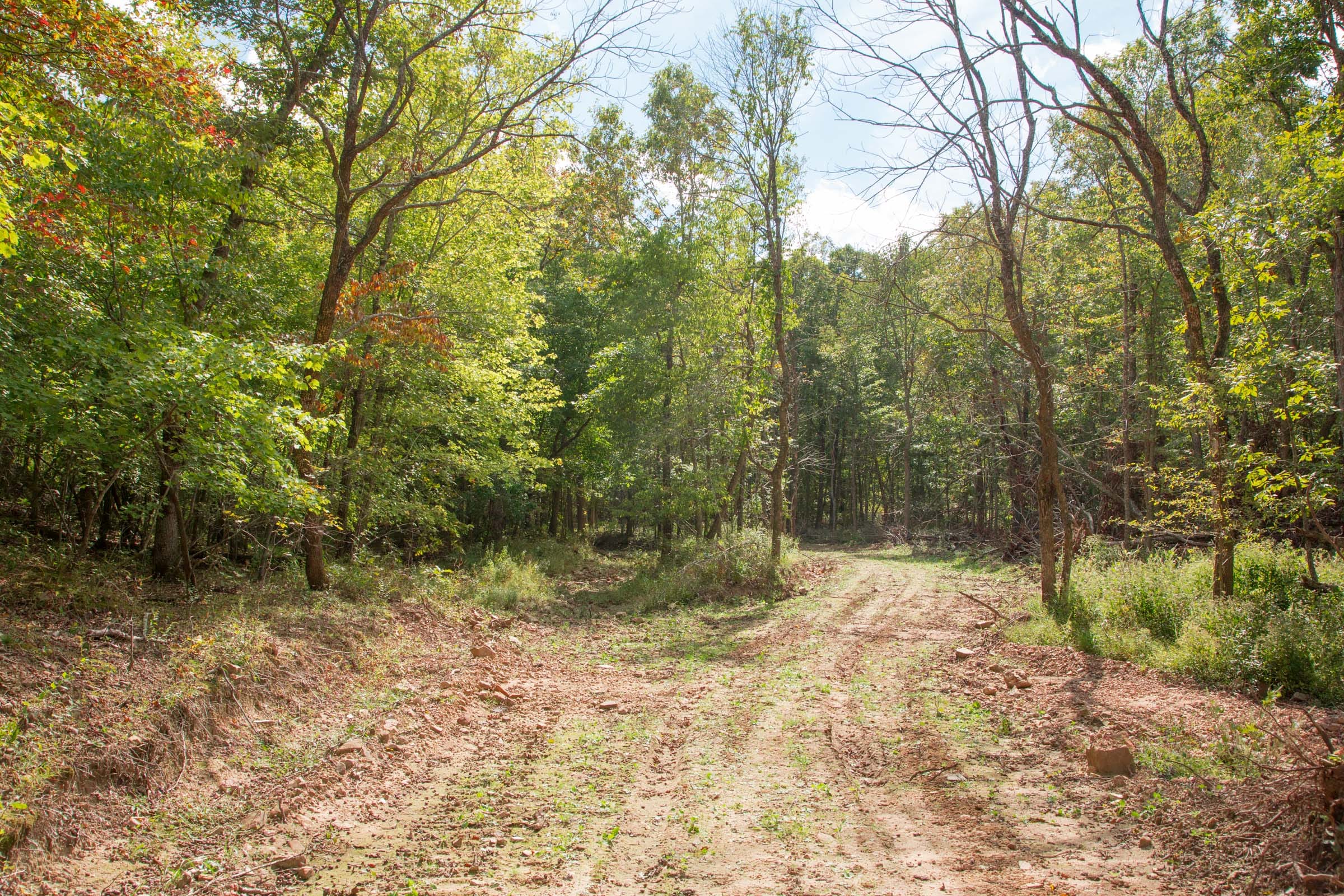 Wagon Wheel Ranch Tract 50 photo 2