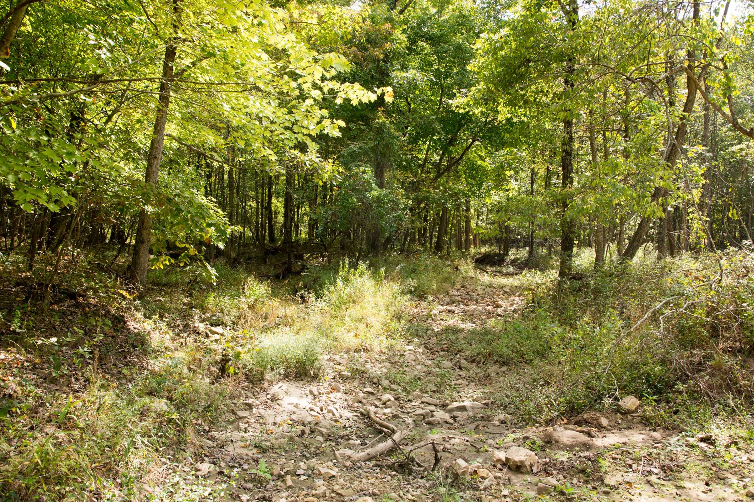 Wagon Wheel Ranch Tract 50 photo 4