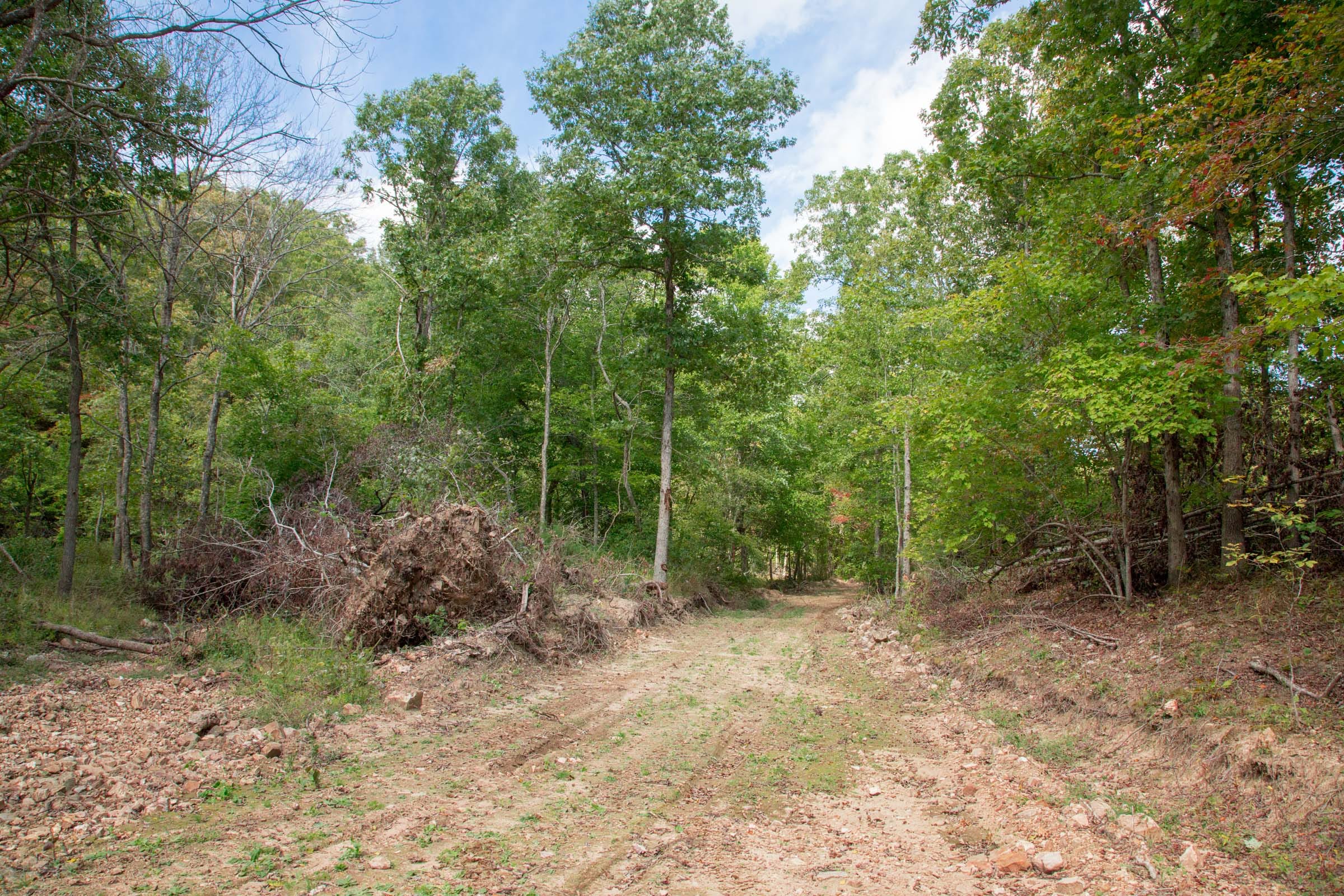 Wagon Wheel Ranch Tract 50 photo 5
