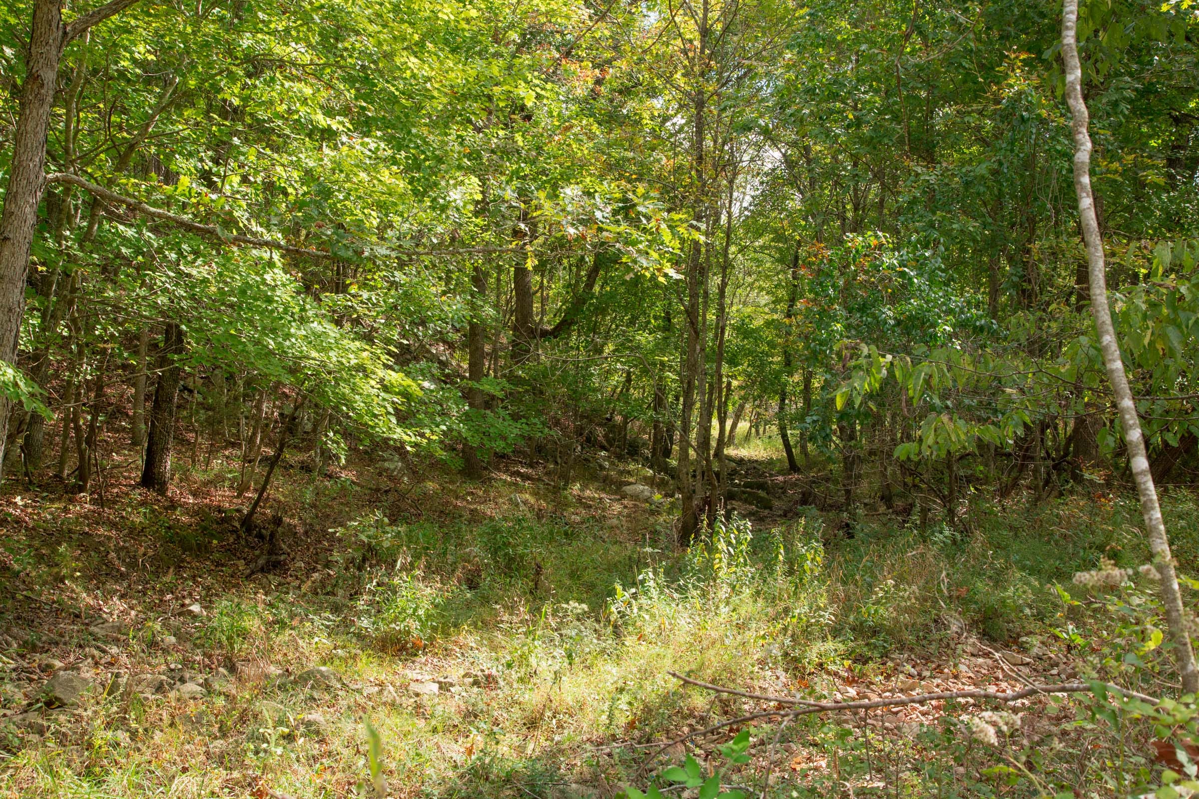 Wagon Wheel Ranch Tract 50 photo 6