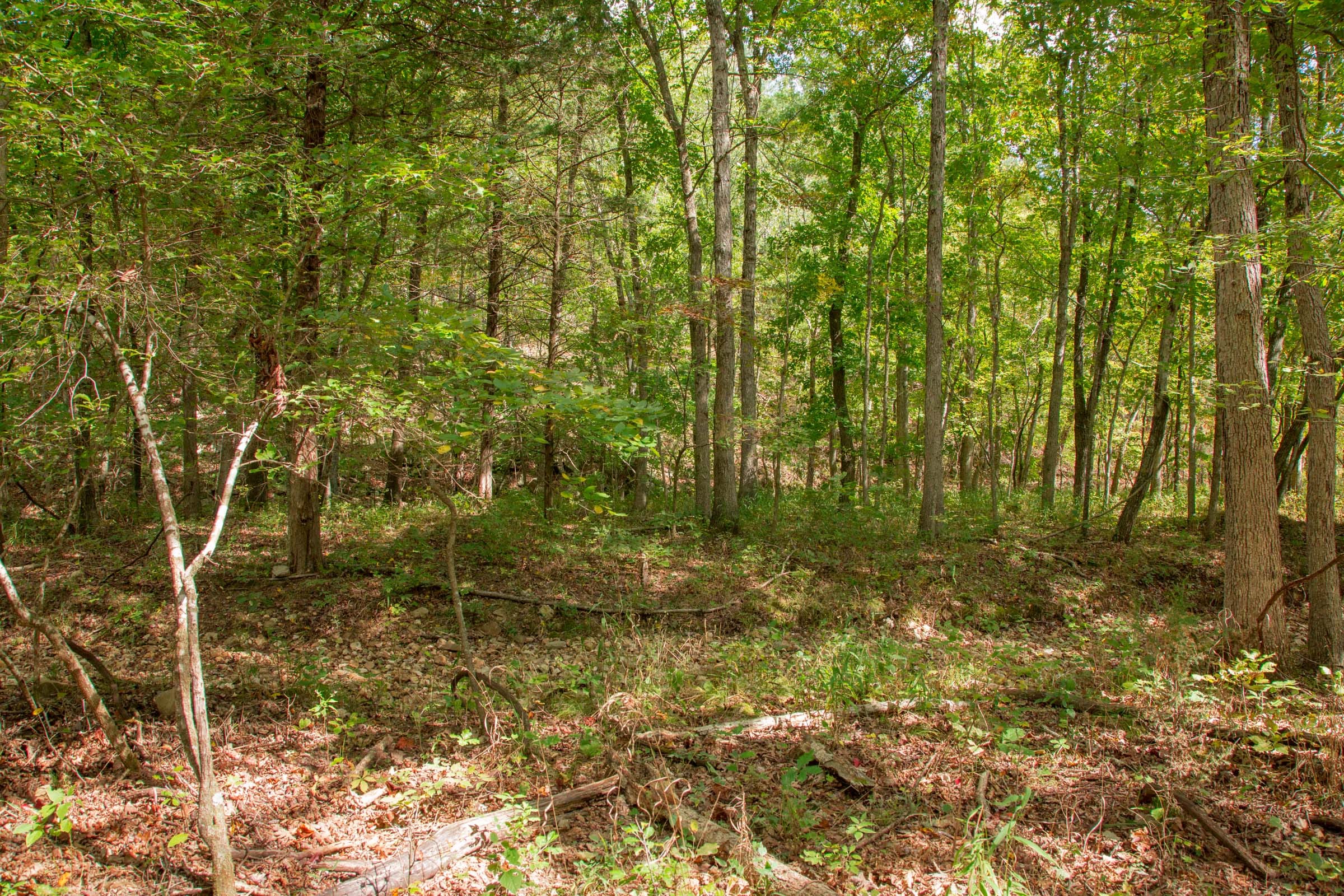 Wagon Wheel Ranch Tract 50 photo 7