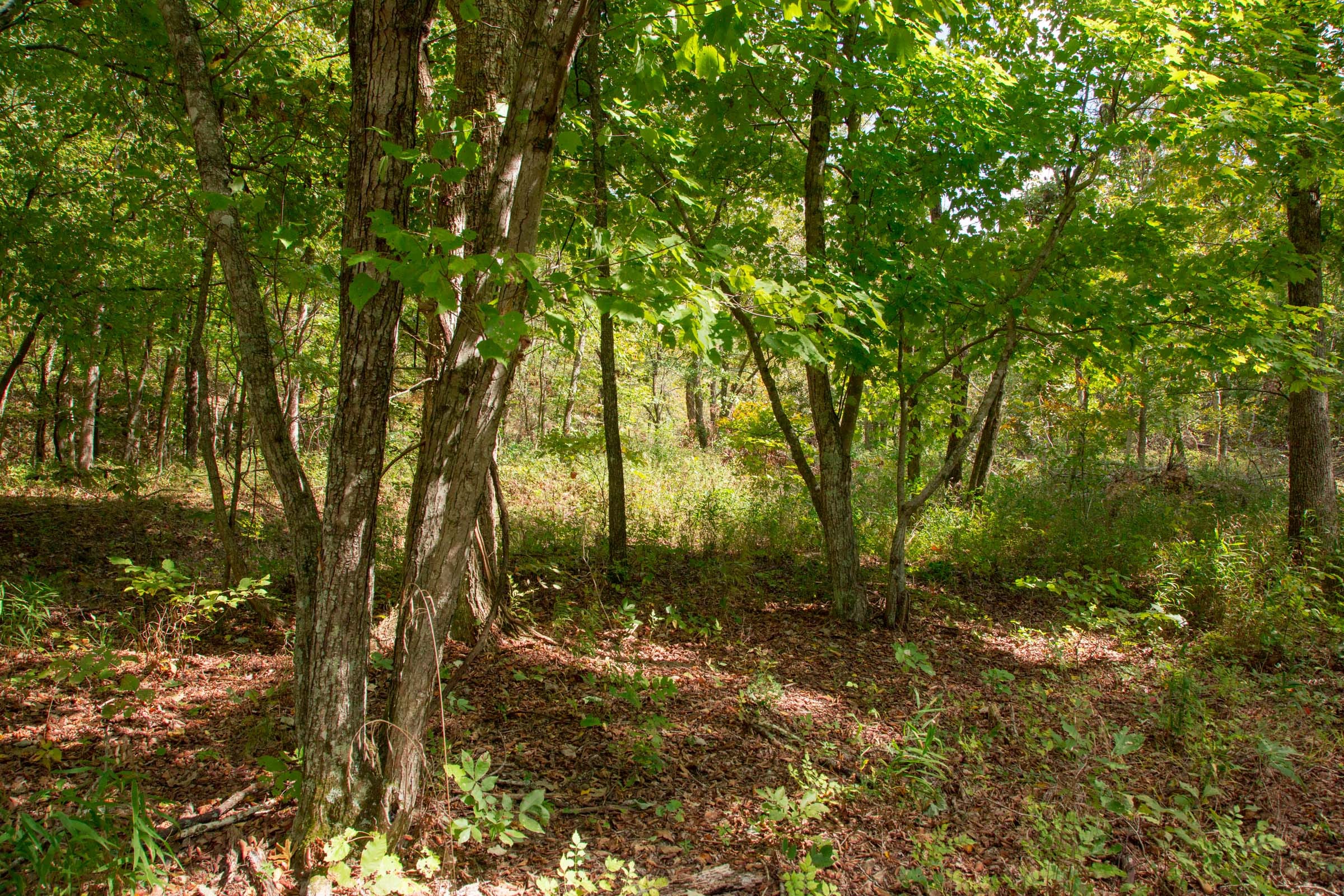 Wagon Wheel Ranch Tract 50 photo 1
