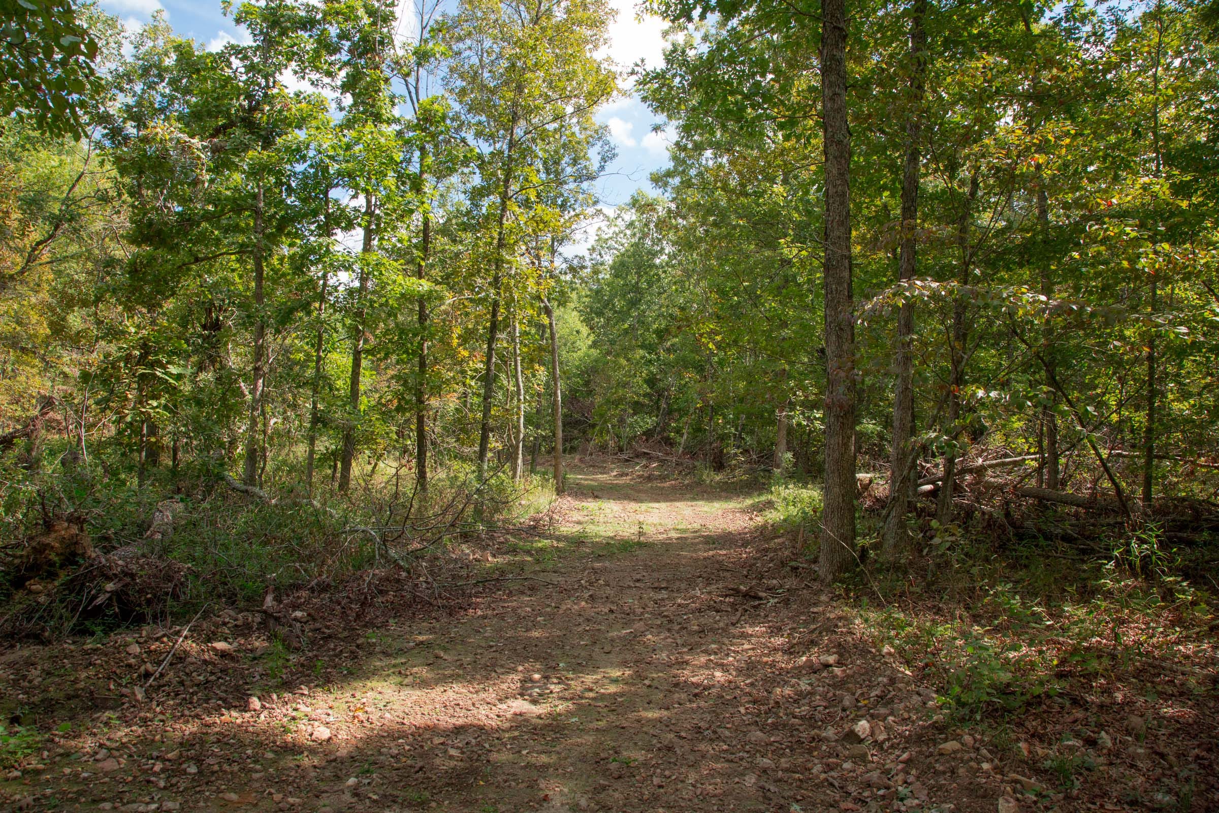 Wagon Wheel Ranch Tract 50 photo 9