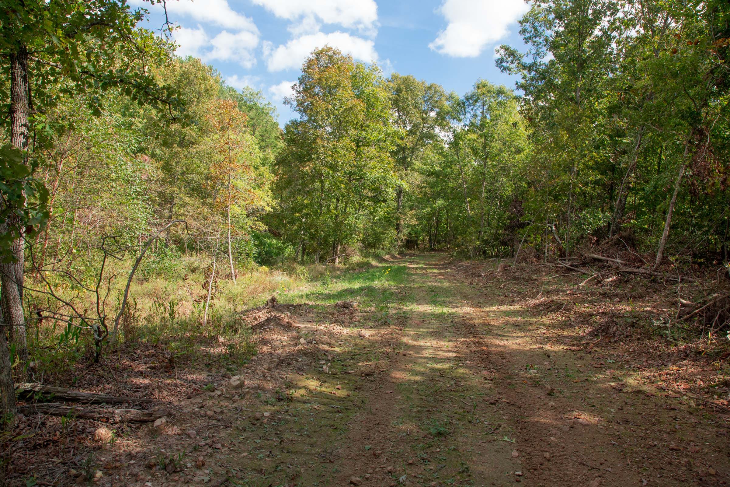 Wagon Wheel Ranch Tract 50 photo 11