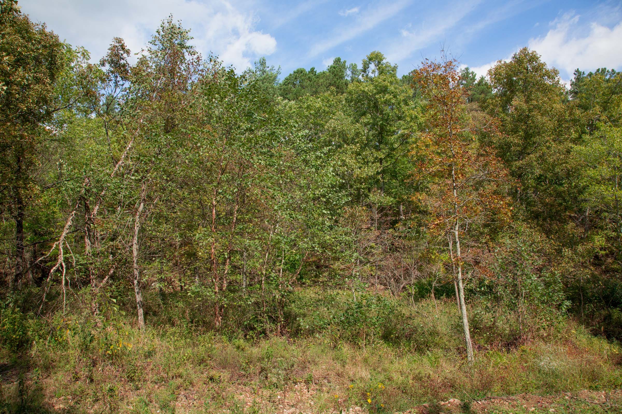 Wagon Wheel Ranch Tract 50 photo 12