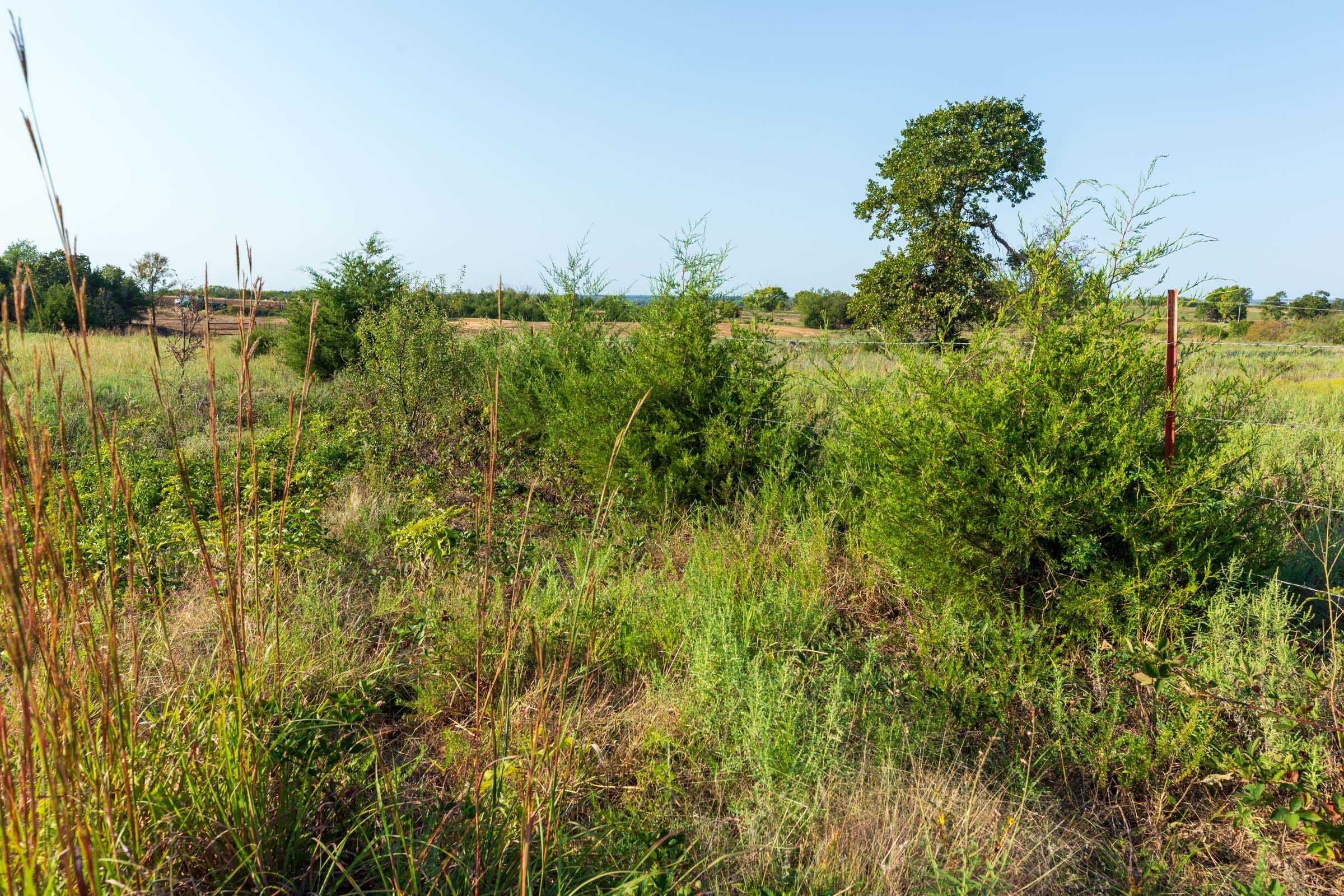 Canyon Creek Tract 3 photo 12