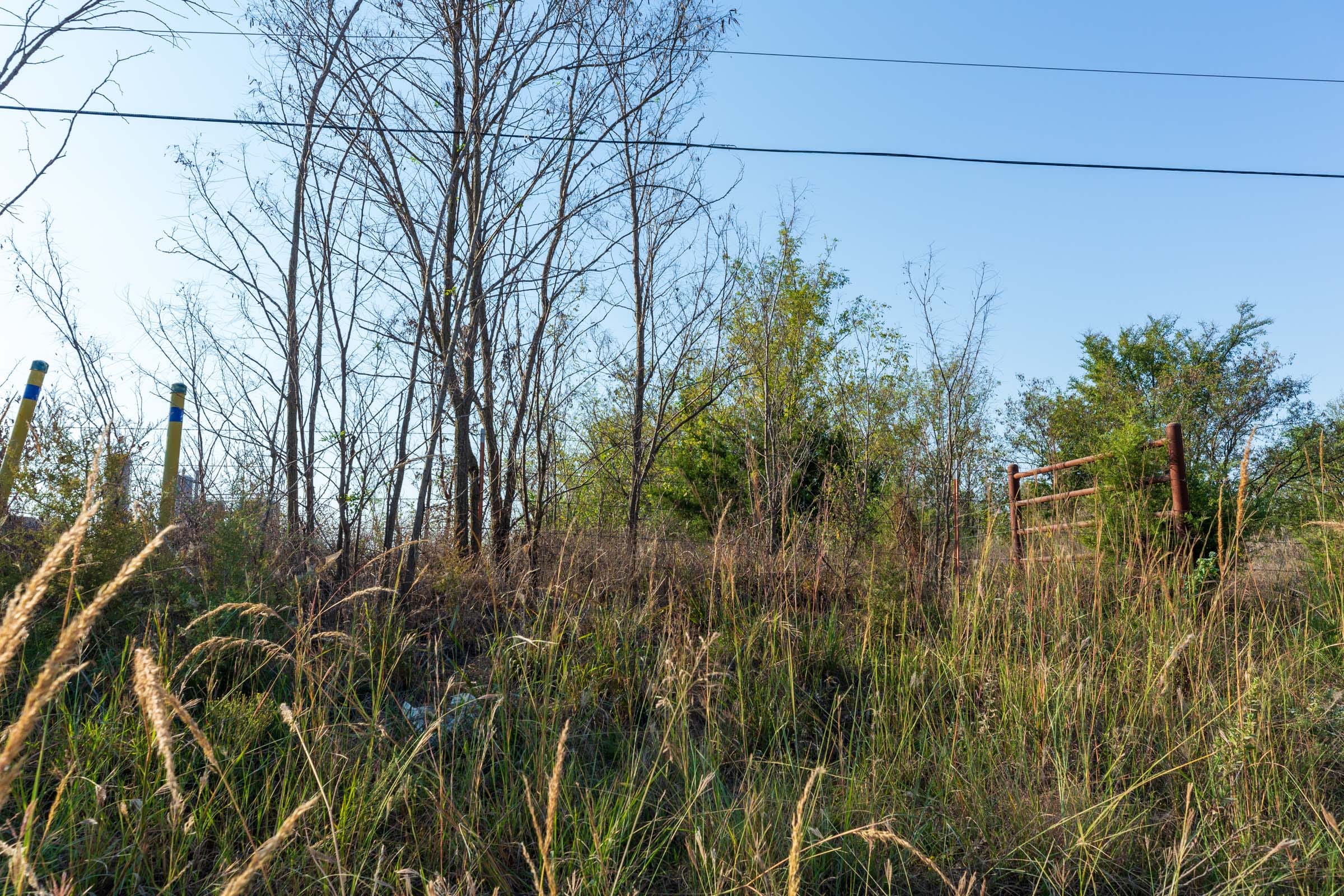 Canyon Creek Tract 3 photo 16
