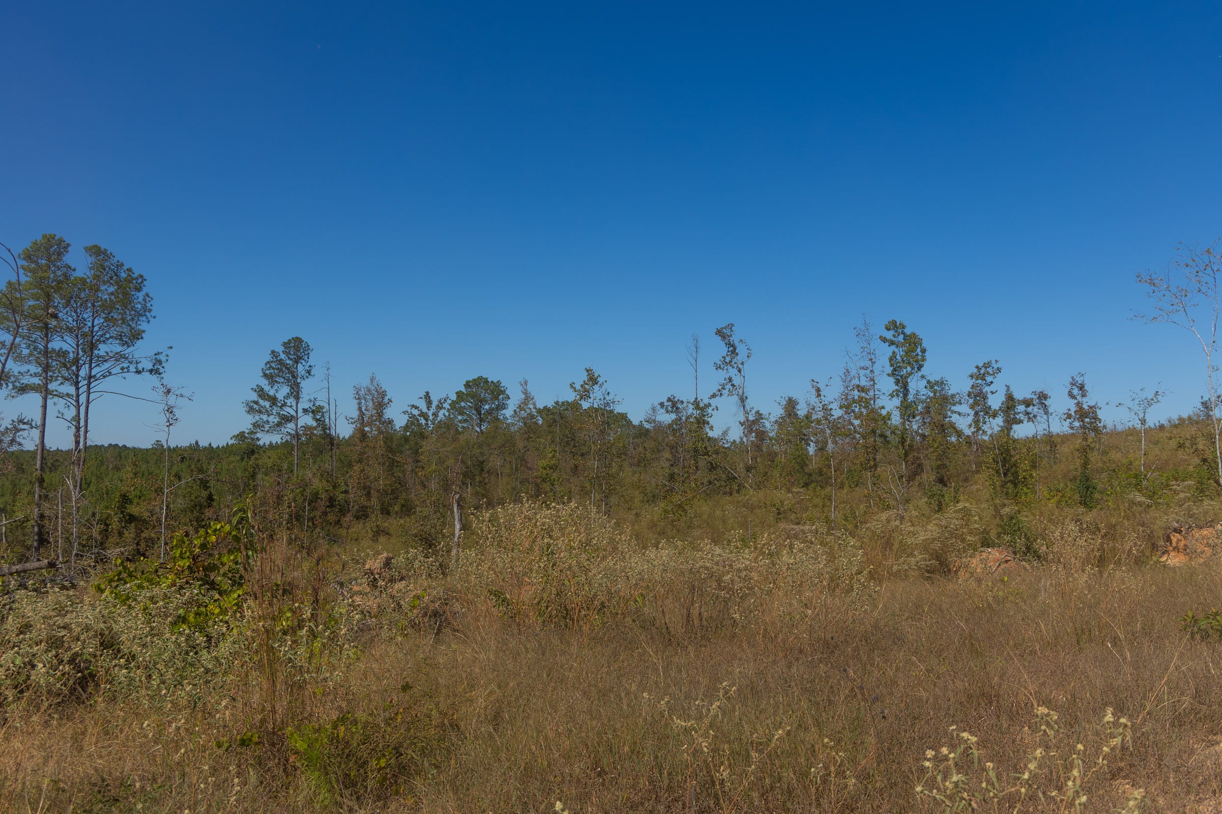 Meyer’s Ridge Tract 2 photo 15