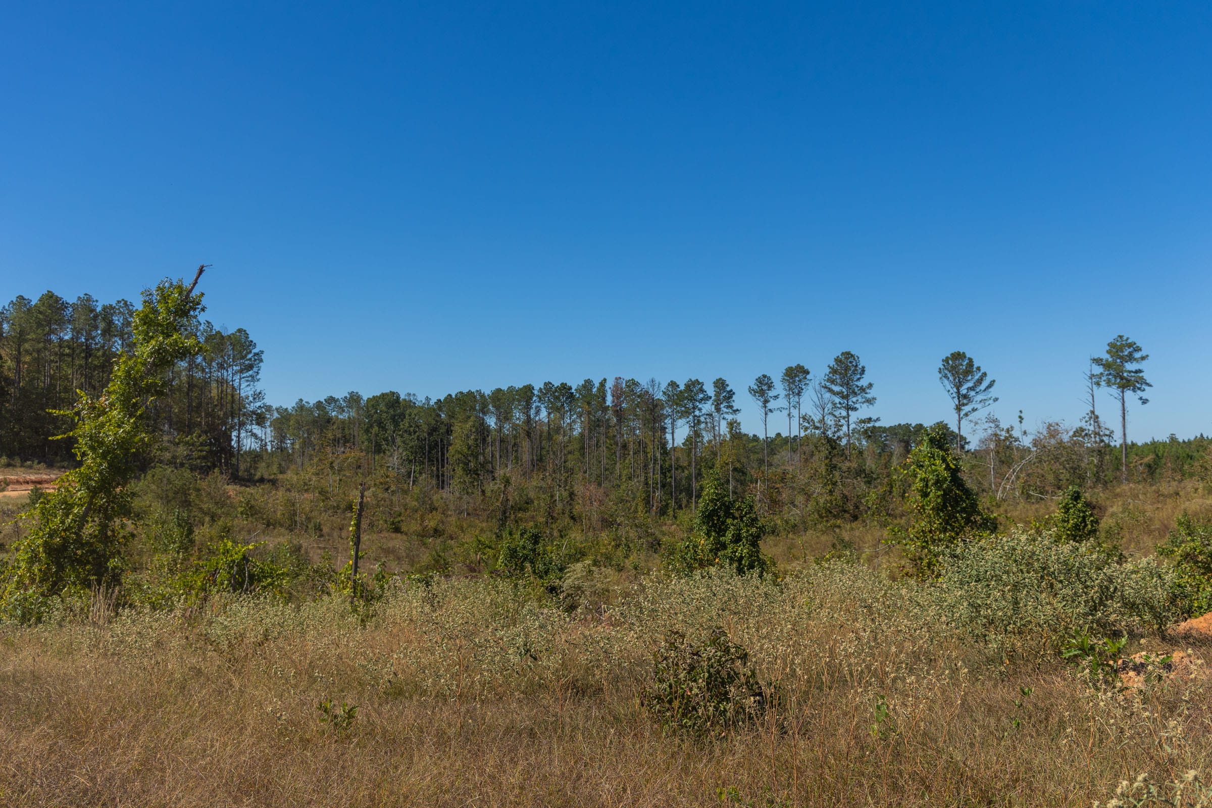 Meyer’s Ridge Tract 2 photo 14