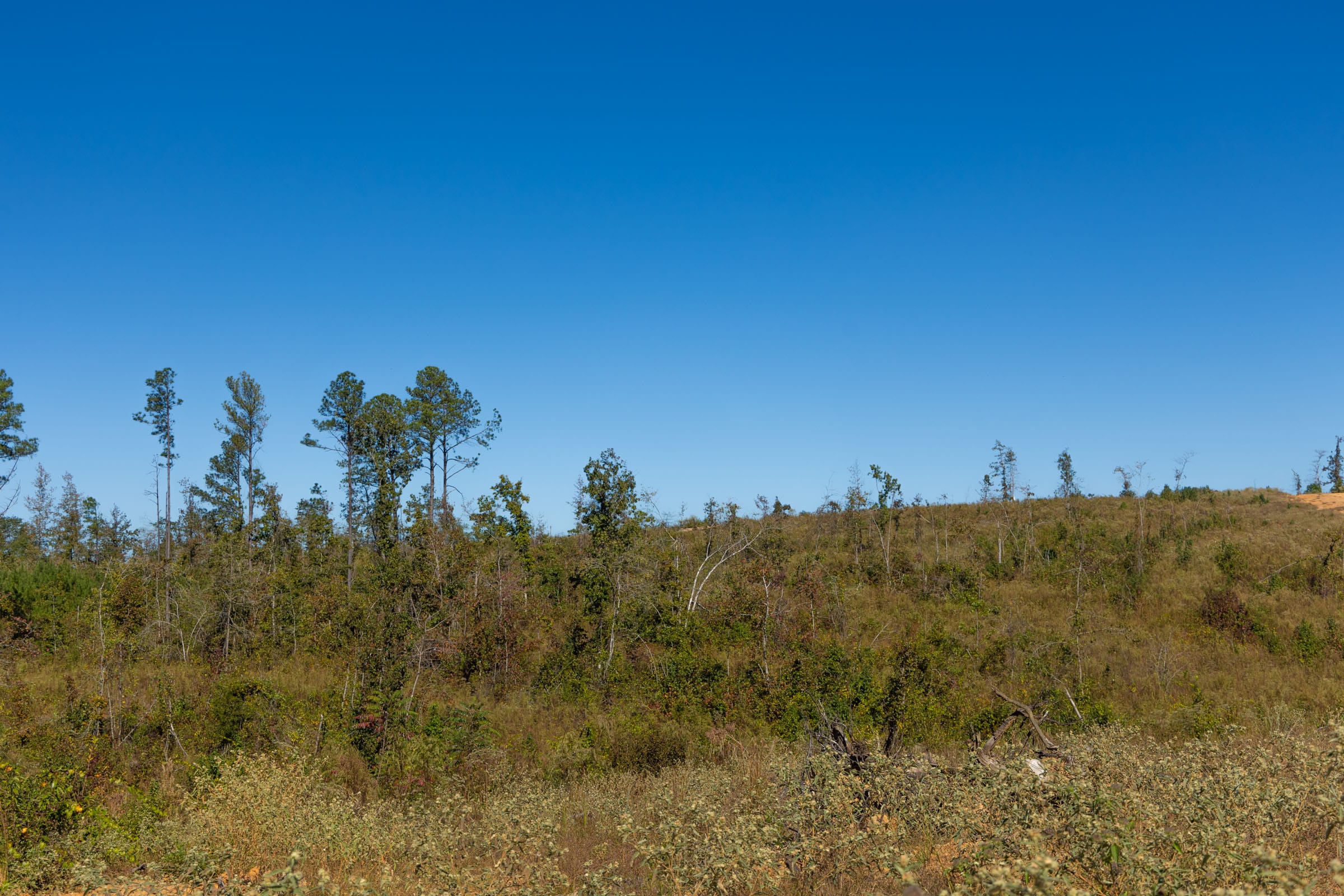 Meyer’s Ridge Tract 2 photo 11