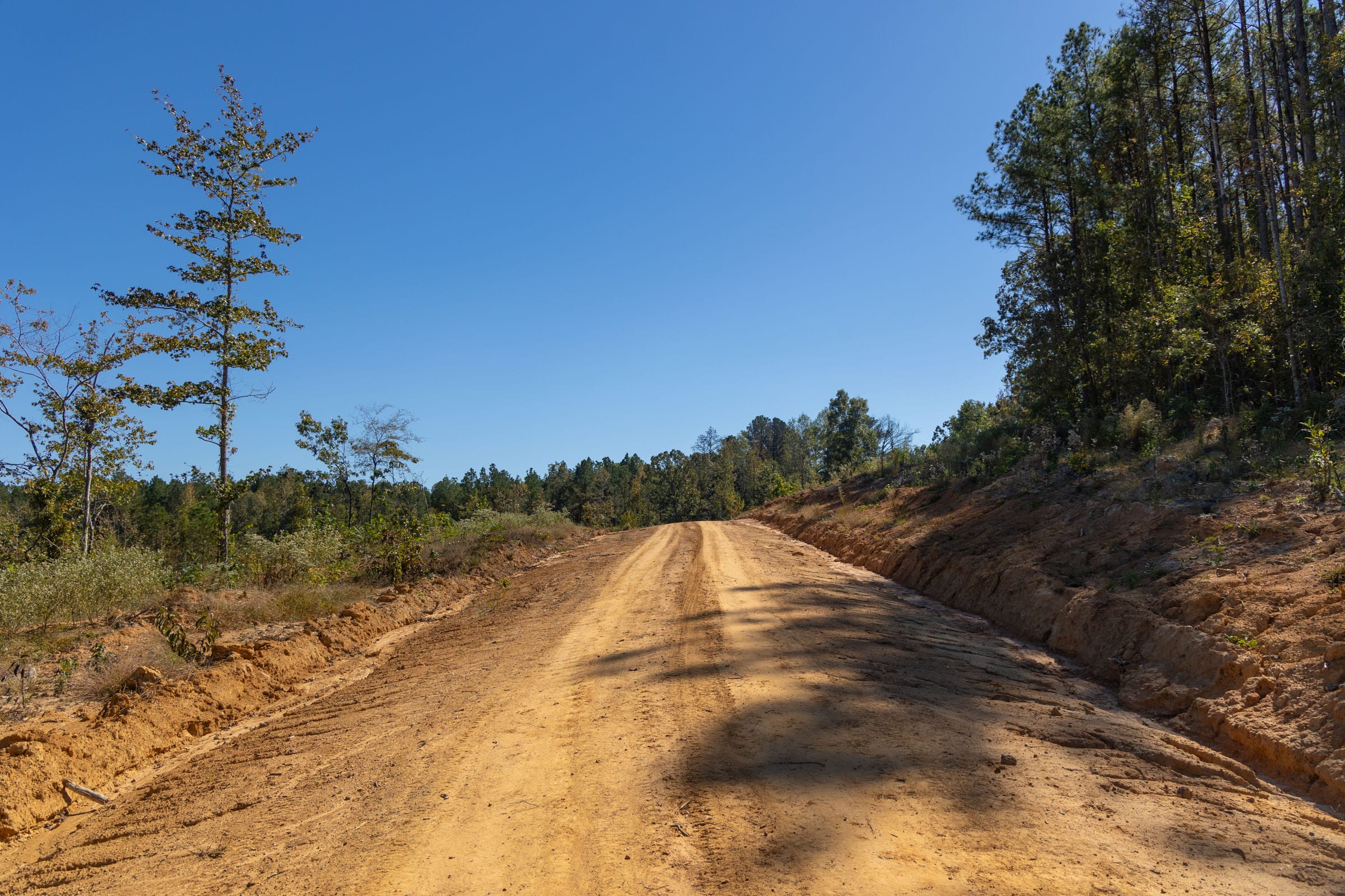 Meyer’s Ridge Tract 2 photo 8
