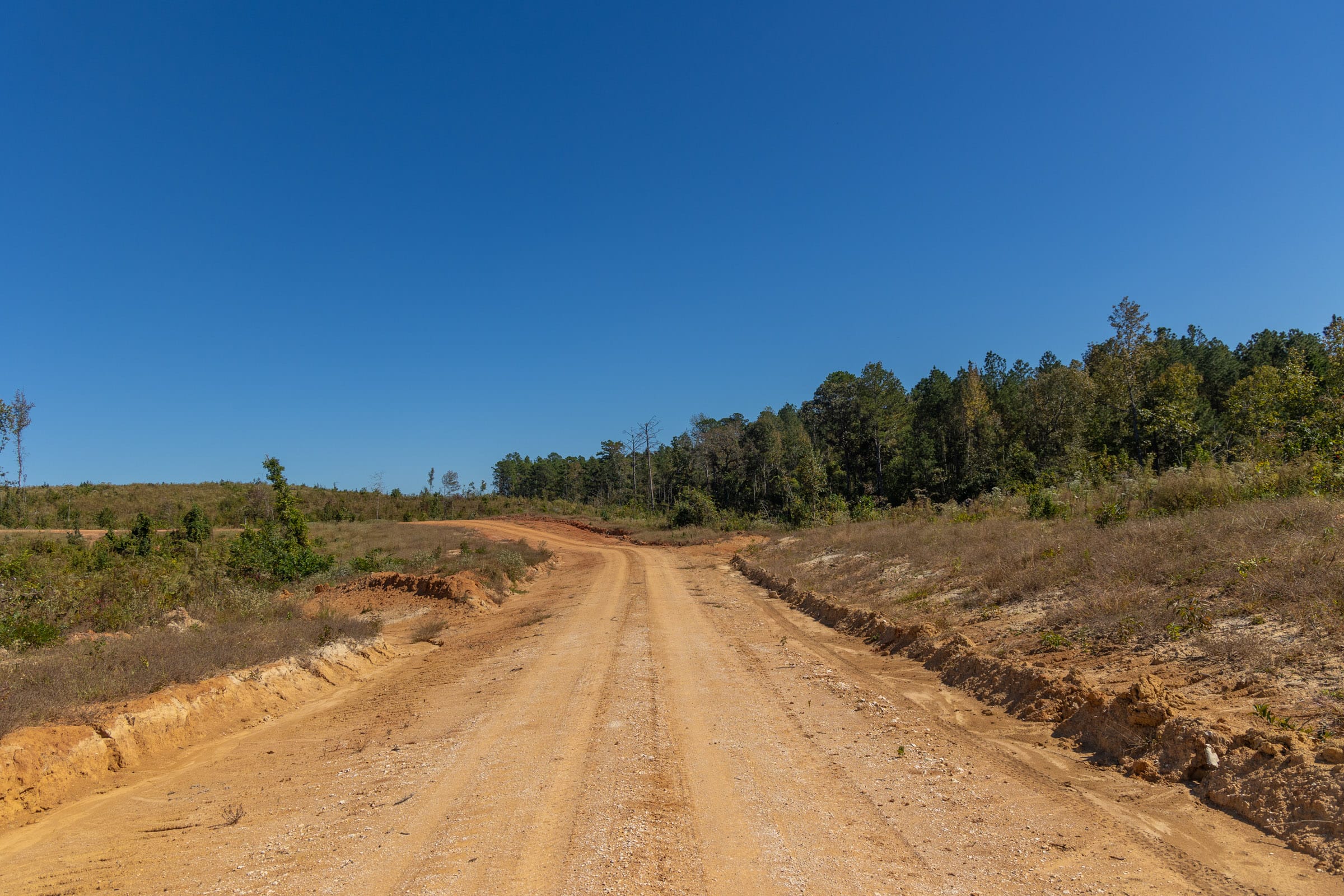 Meyer’s Ridge Tract 2 photo 5