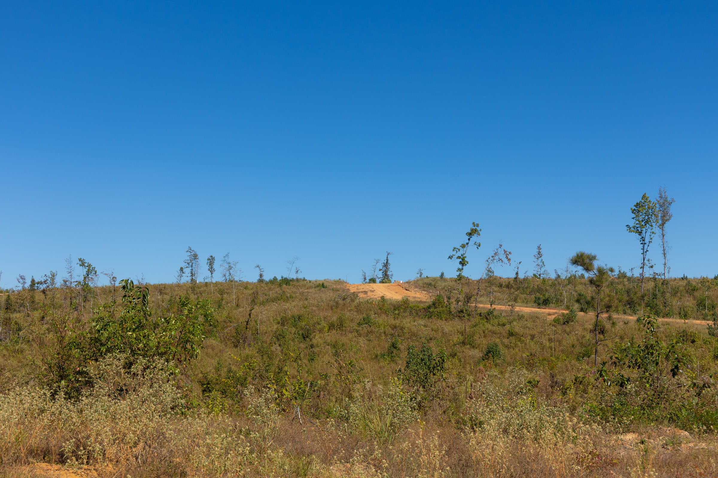 Meyer’s Ridge Tract 2 photo 4