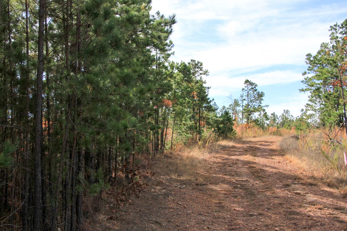 Stone Creek Phase III Tract 50 photo 3