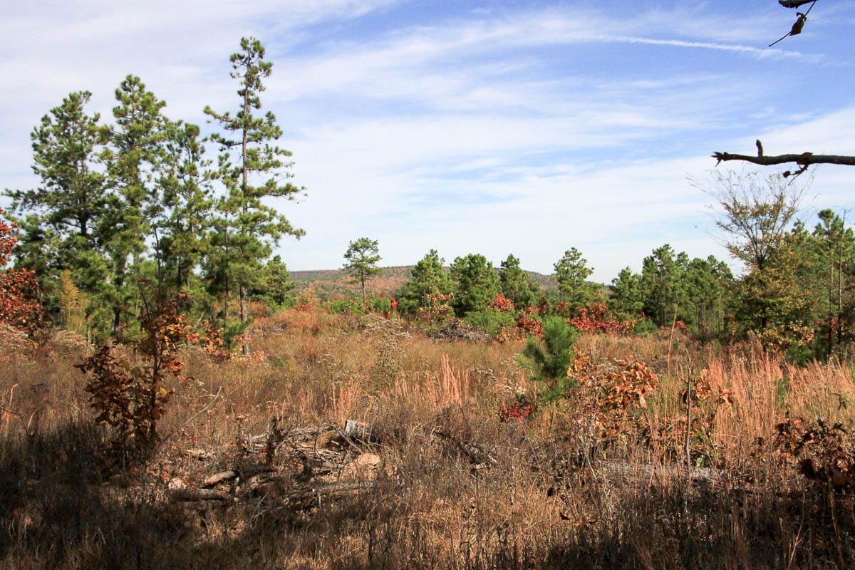 Stone Creek Phase III Tract 50 photo 6