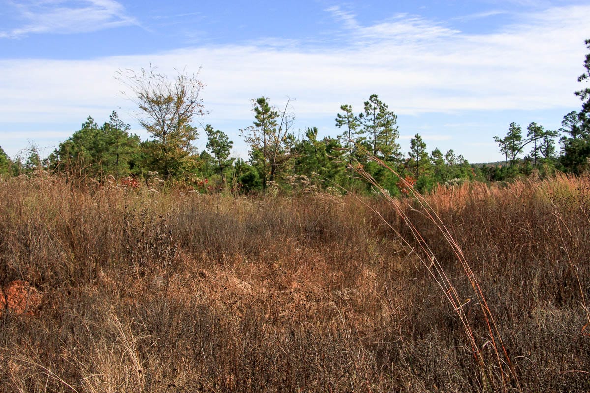 Stone Creek Phase III Tract 50 photo 9