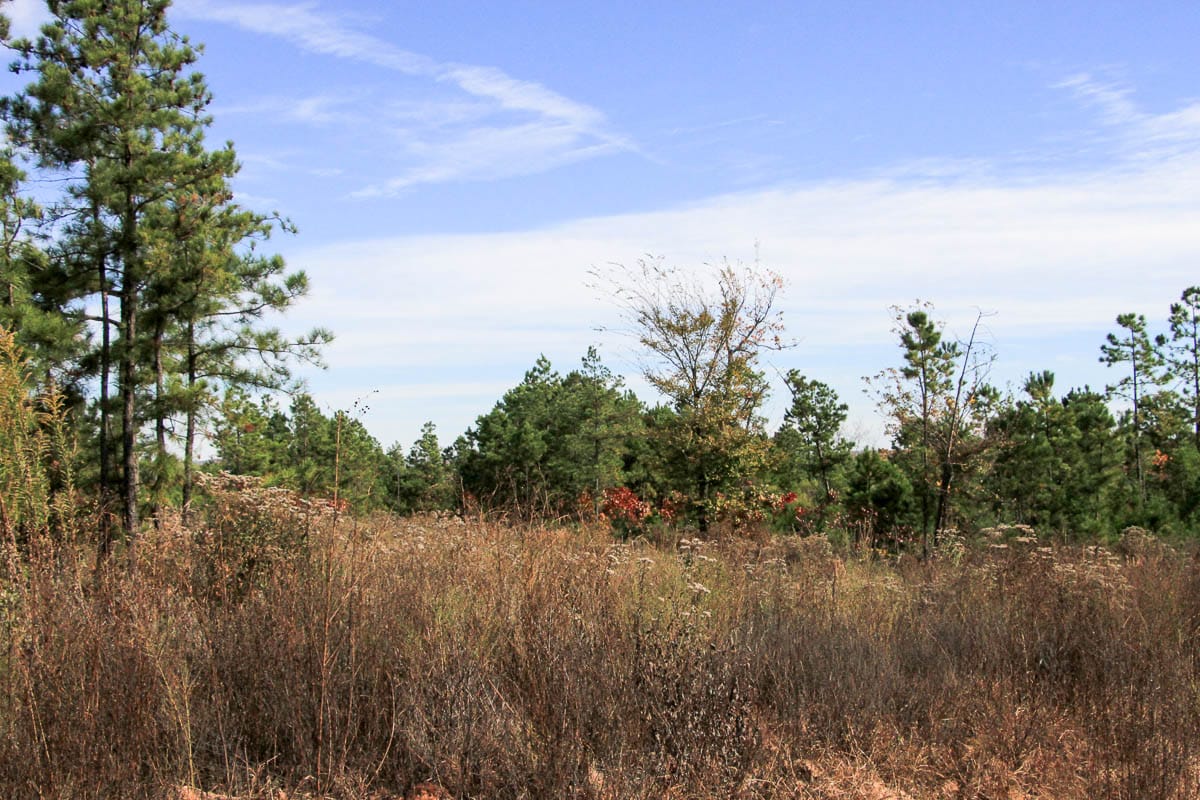 Stone Creek Phase III Tract 50 photo 11