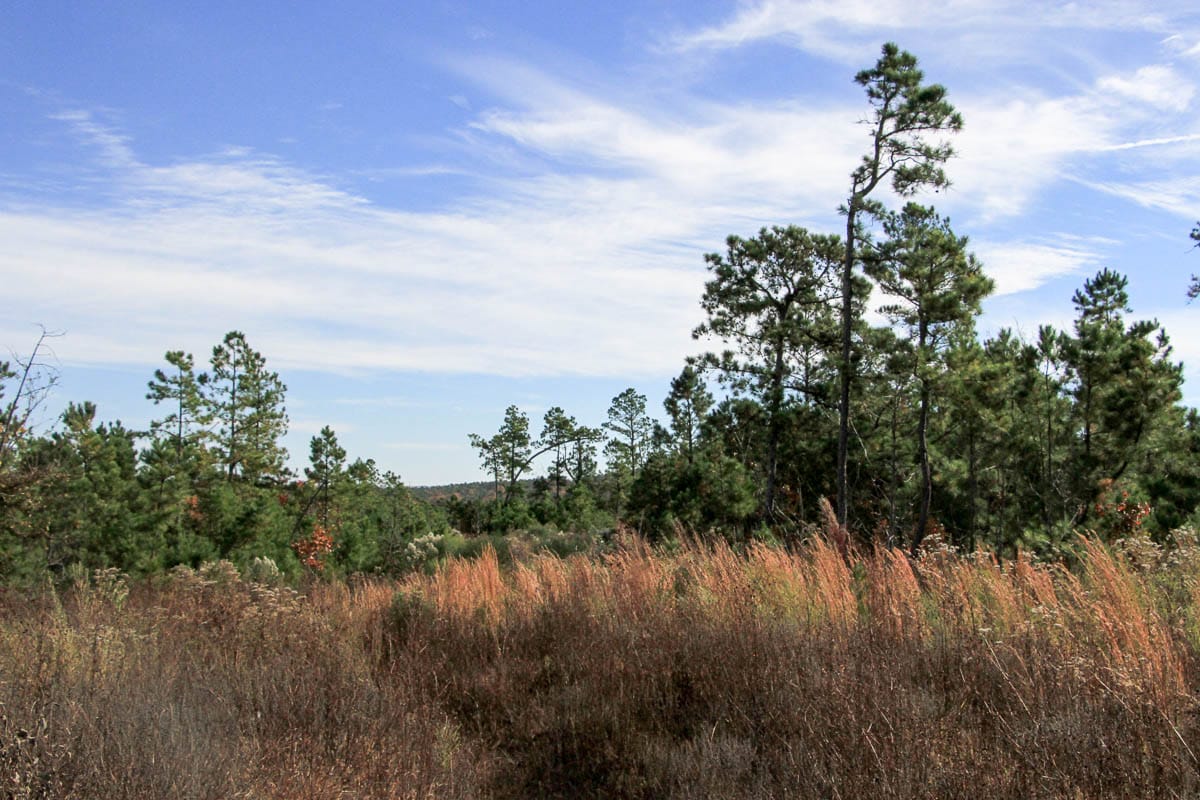 Stone Creek Phase III Tract 50 photo 12