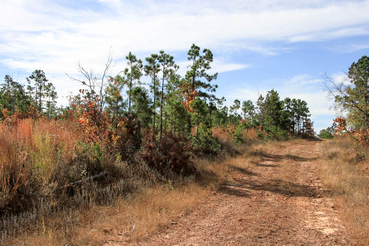 Stone Creek Phase III Tract 50 photo 13