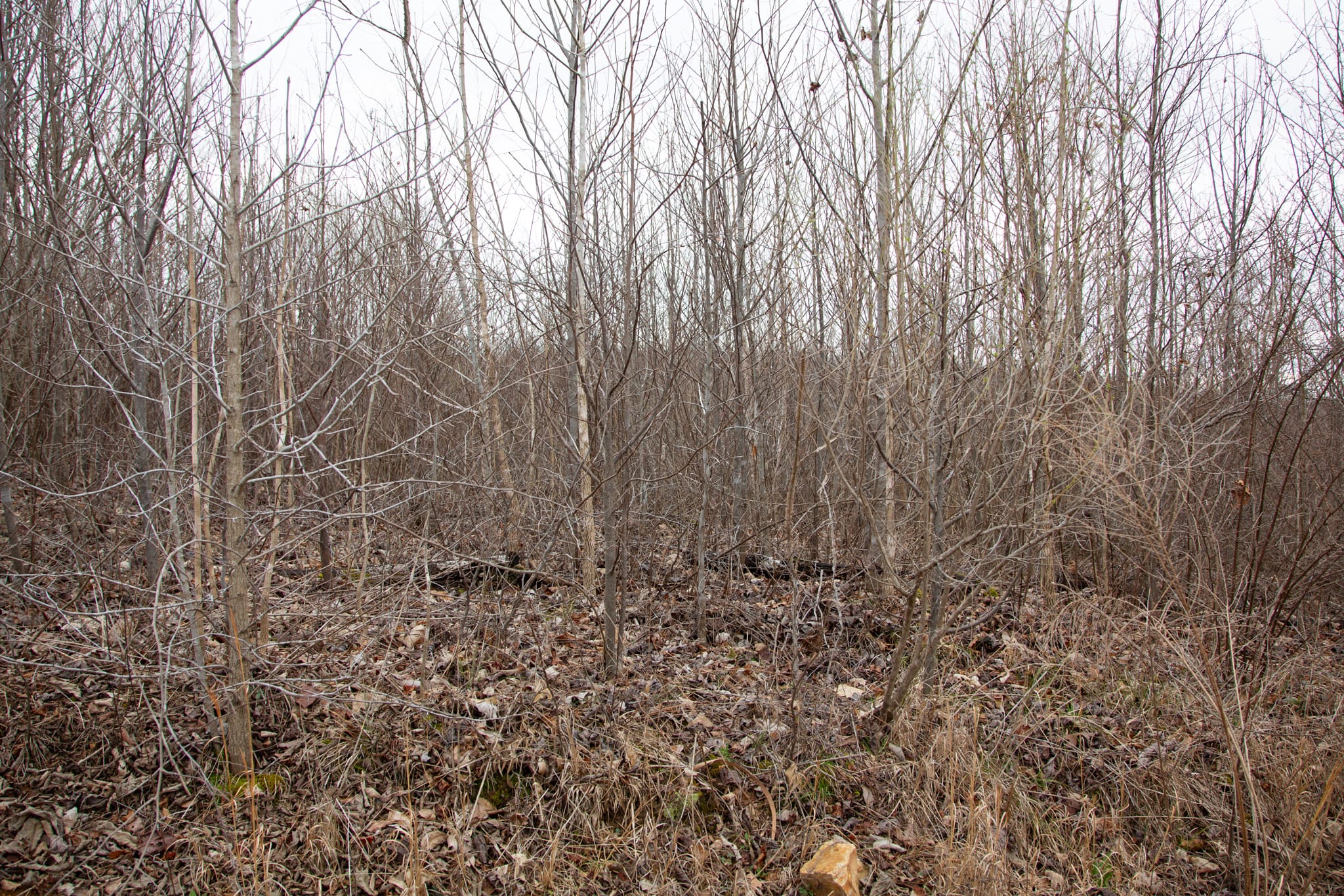 Southwind Ranch Tract 13 photo 2