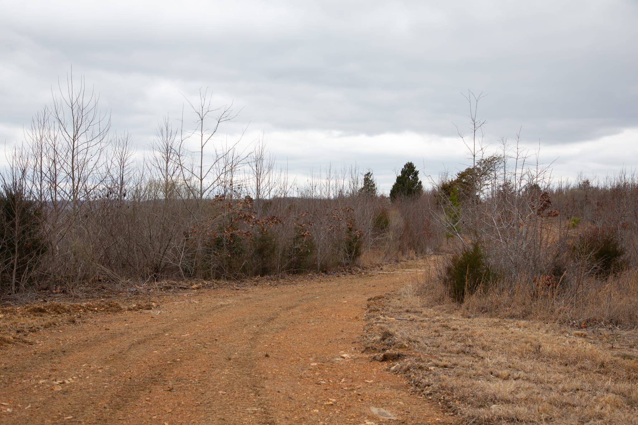 Southwind Ranch Tract 13 photo 9