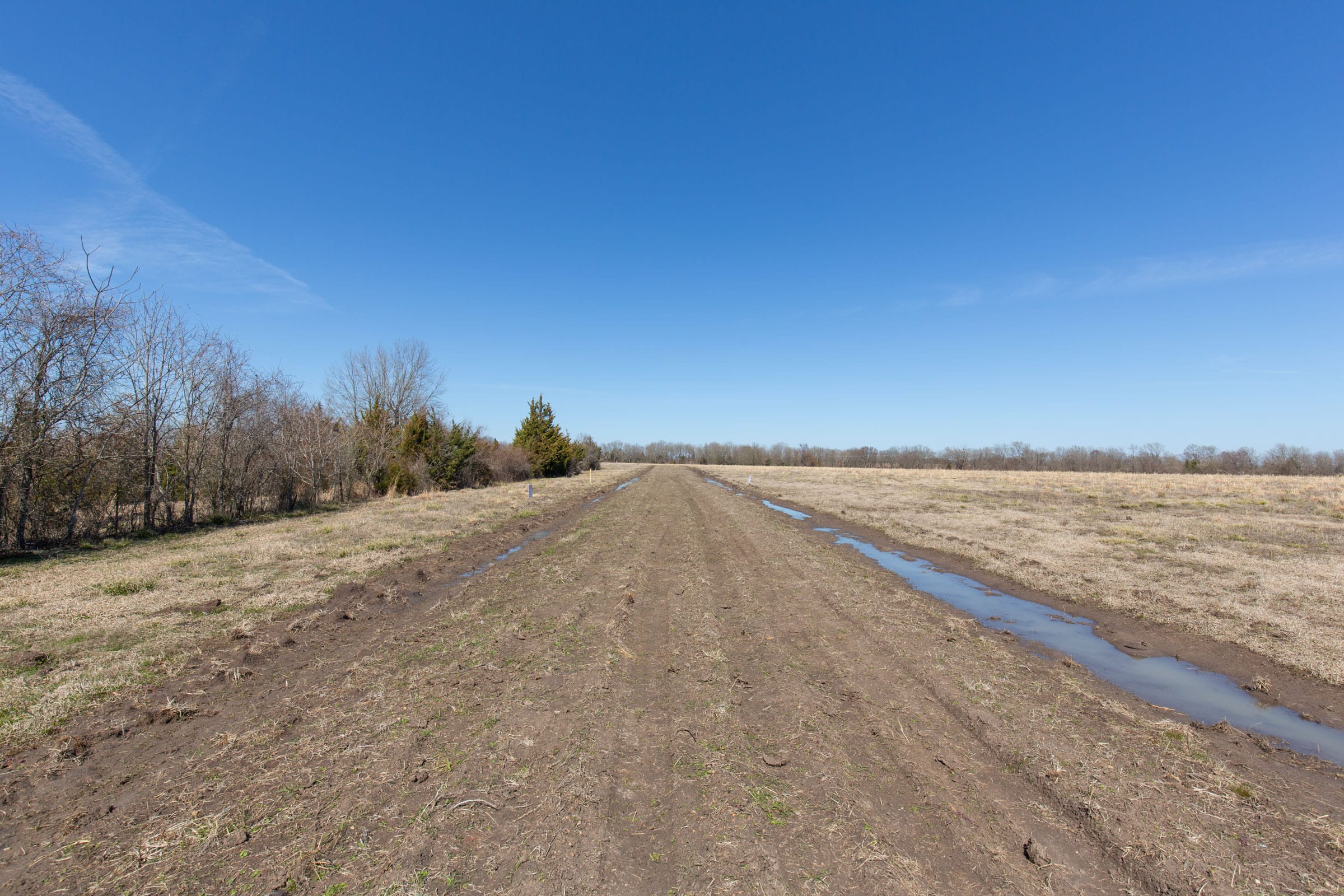 Wishing Star Ranch Tract 22 photo 6