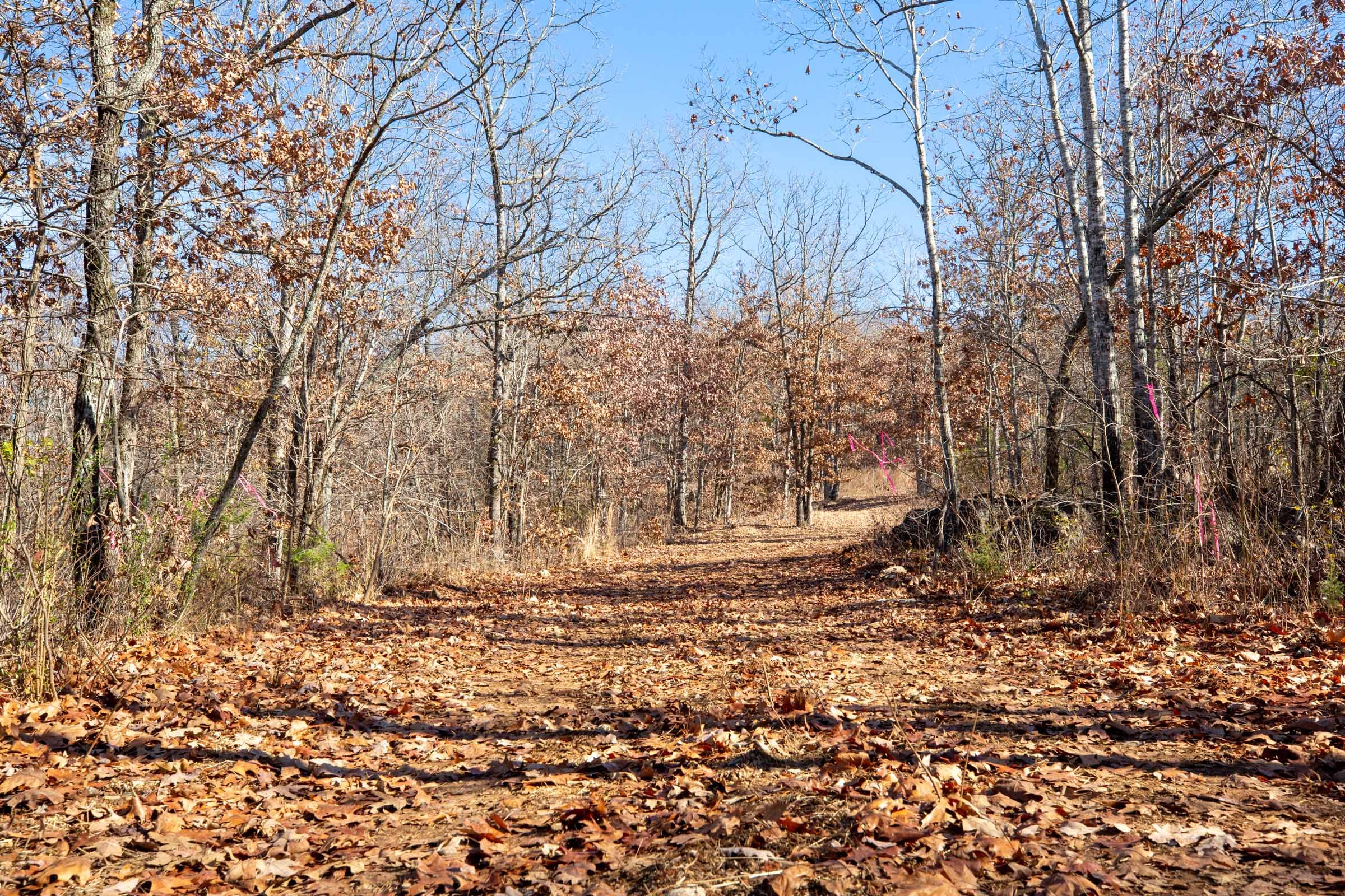 Dutchman Hollow Tract 3 photo 1