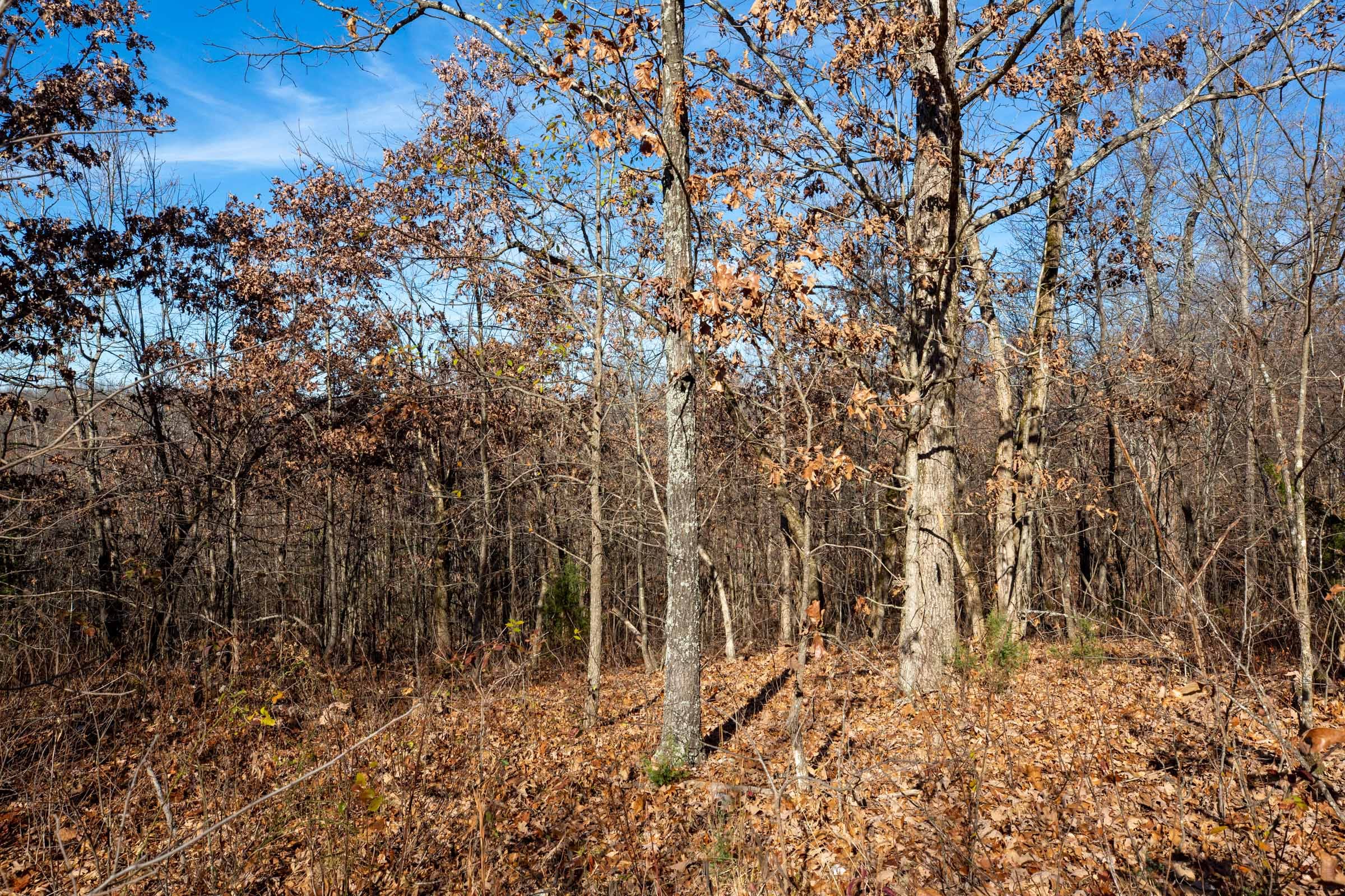 Dutchman Hollow Tract 3 photo 2