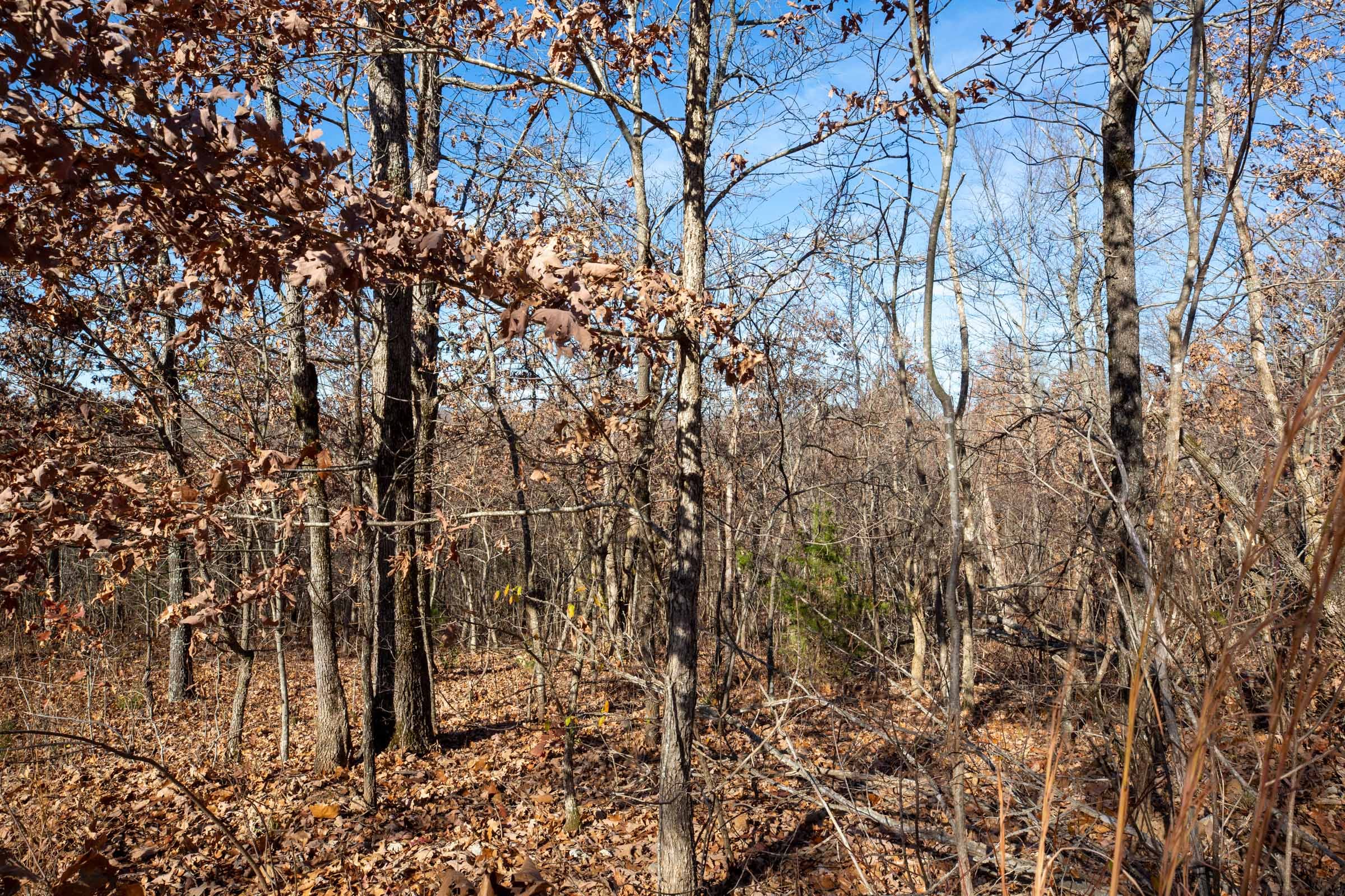 Dutchman Hollow Tract 3 photo 5