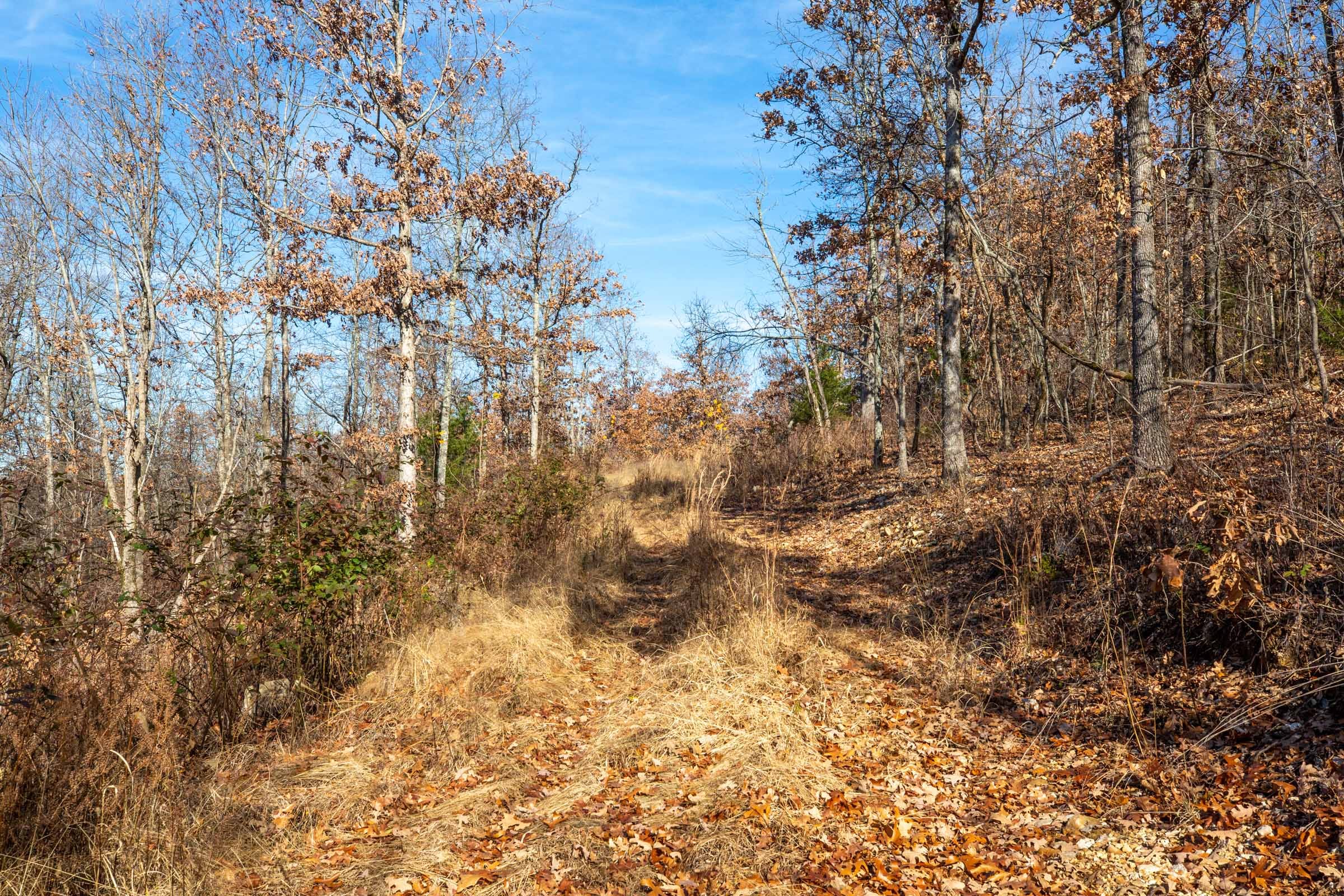 Dutchman Hollow Tract 3 photo 4