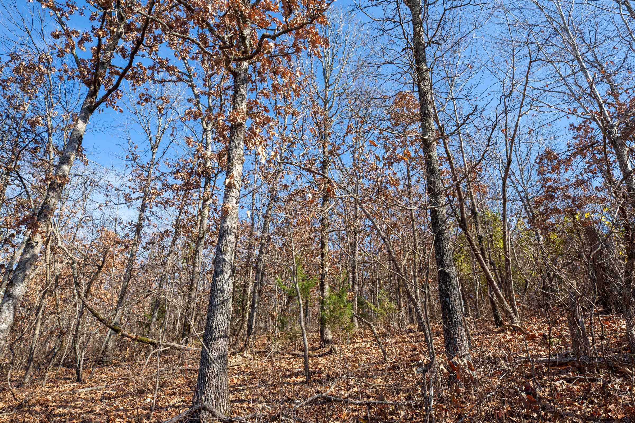 Dutchman Hollow Tract 3 photo 8