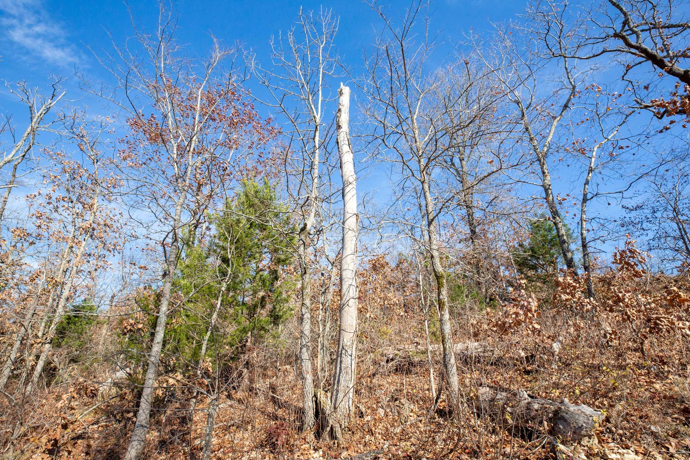 Dutchman Hollow Tract 3 photo 3