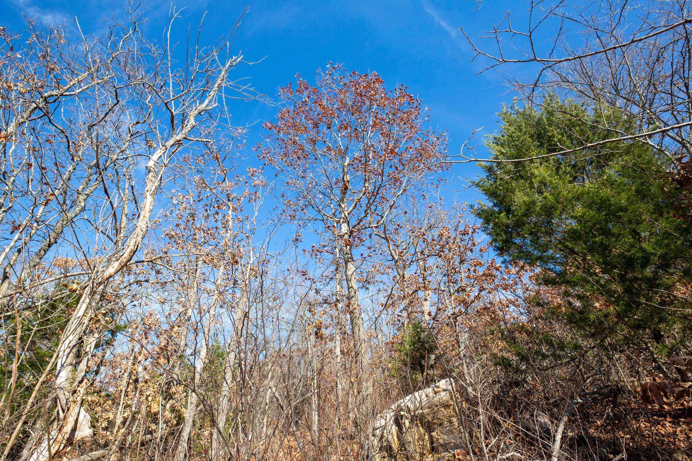 Dutchman Hollow Tract 3 photo 9