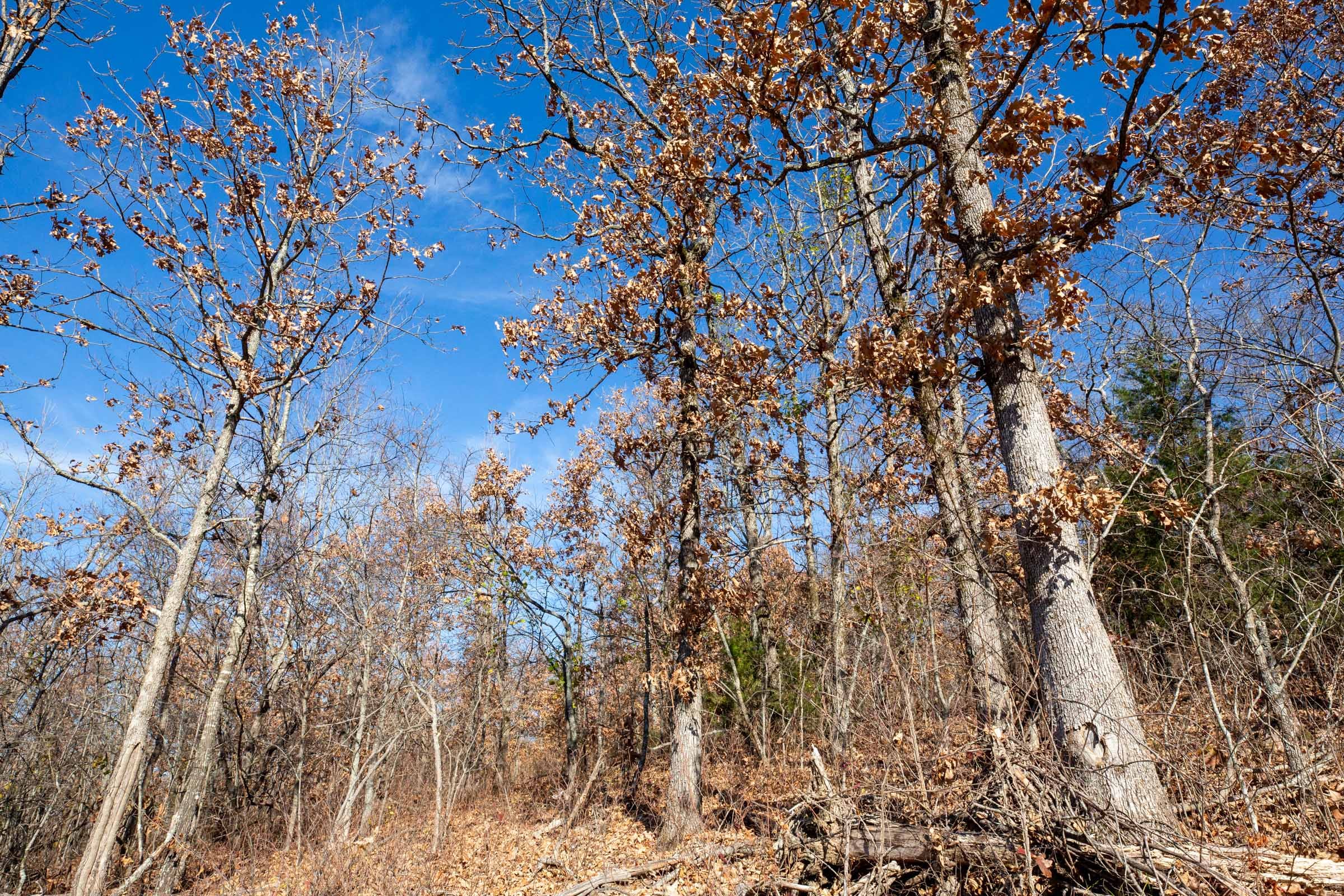 Dutchman Hollow Tract 3 photo 10