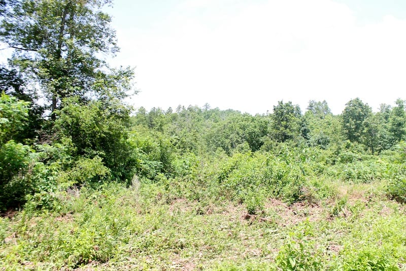 Green Mountain Ranch Tract 37 photo 2