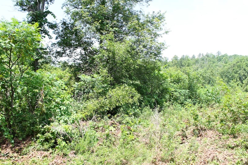 Green Mountain Ranch Tract 37 photo 8