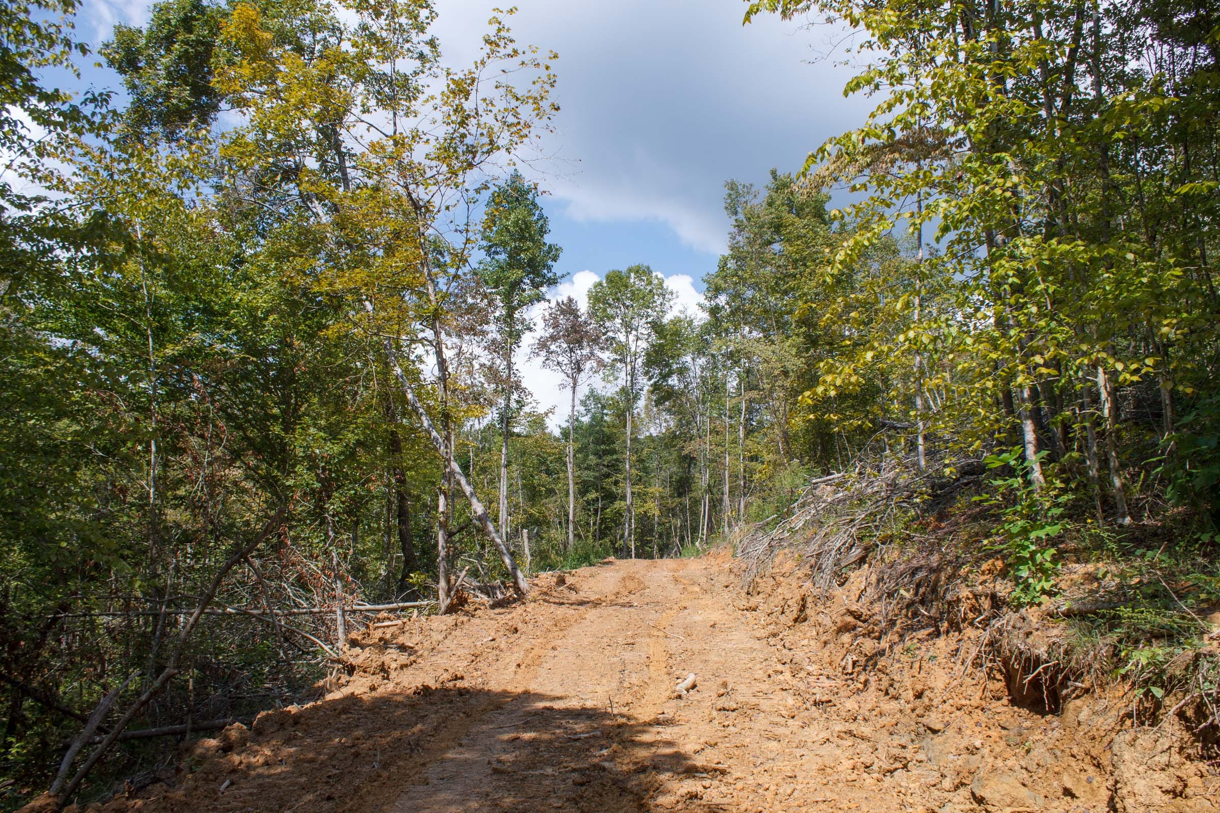 Wounded Oak Tract 15 photo 1