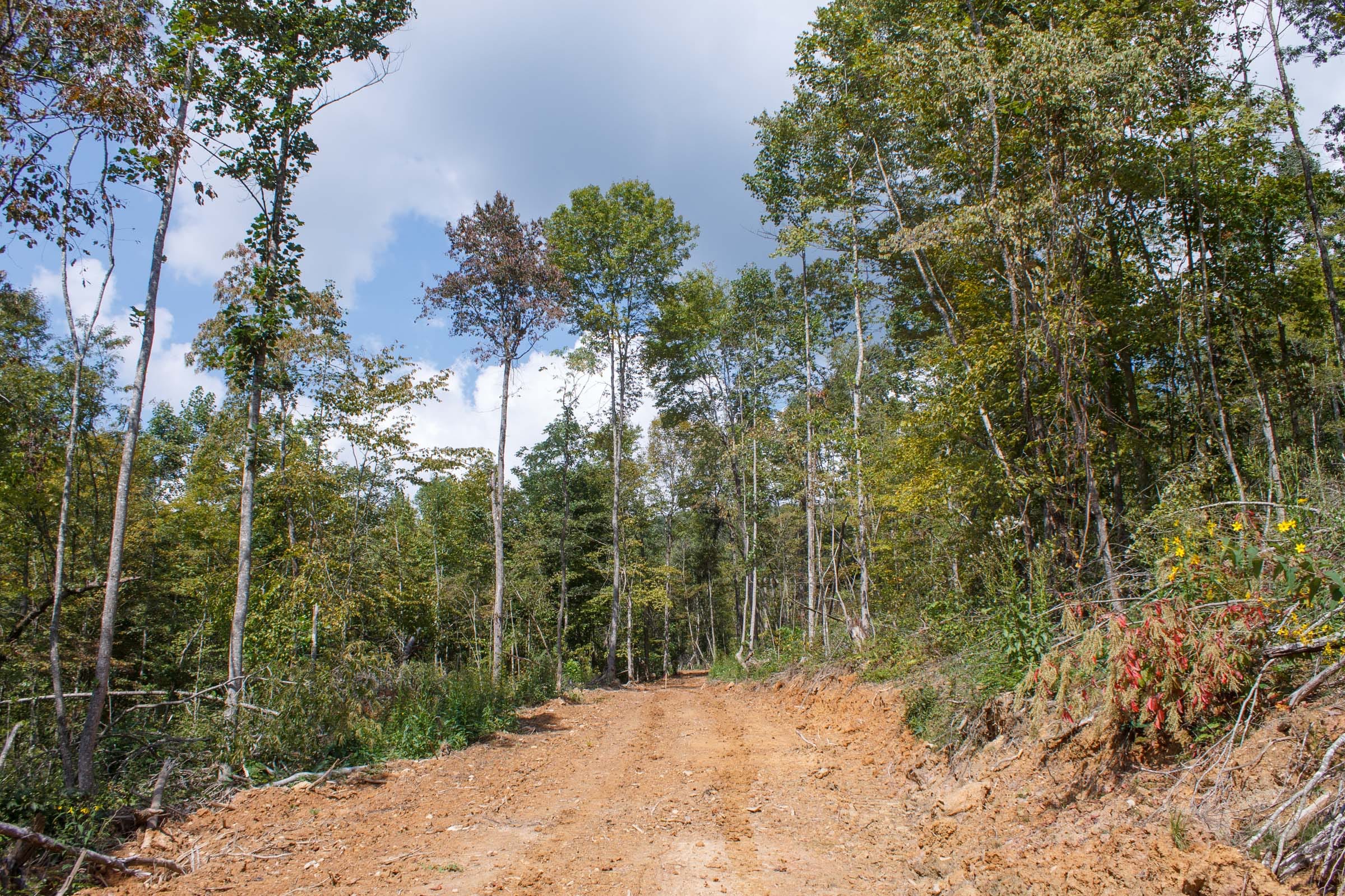 Wounded Oak Tract 15 photo 3