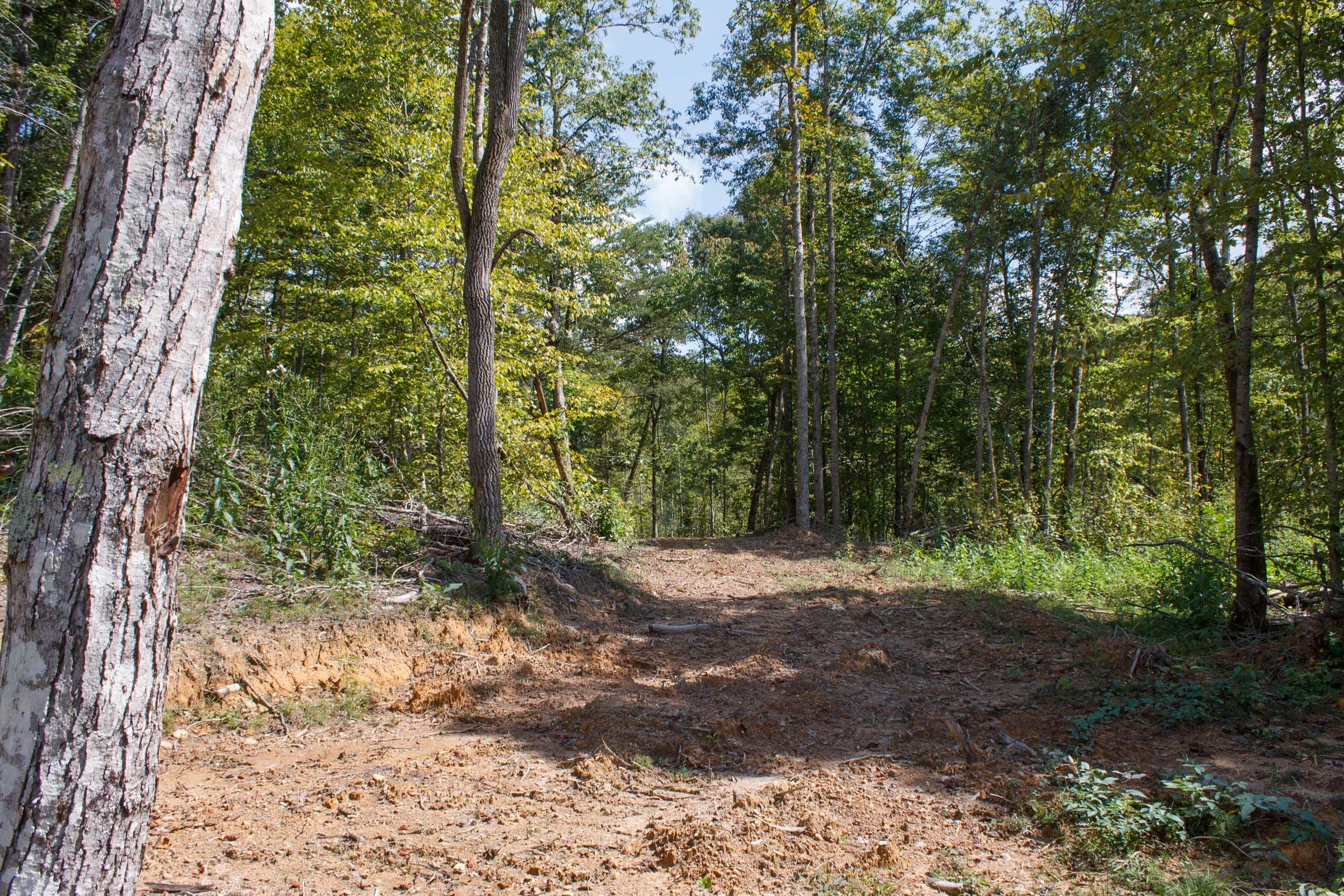 Wounded Oak Tract 15 photo 6