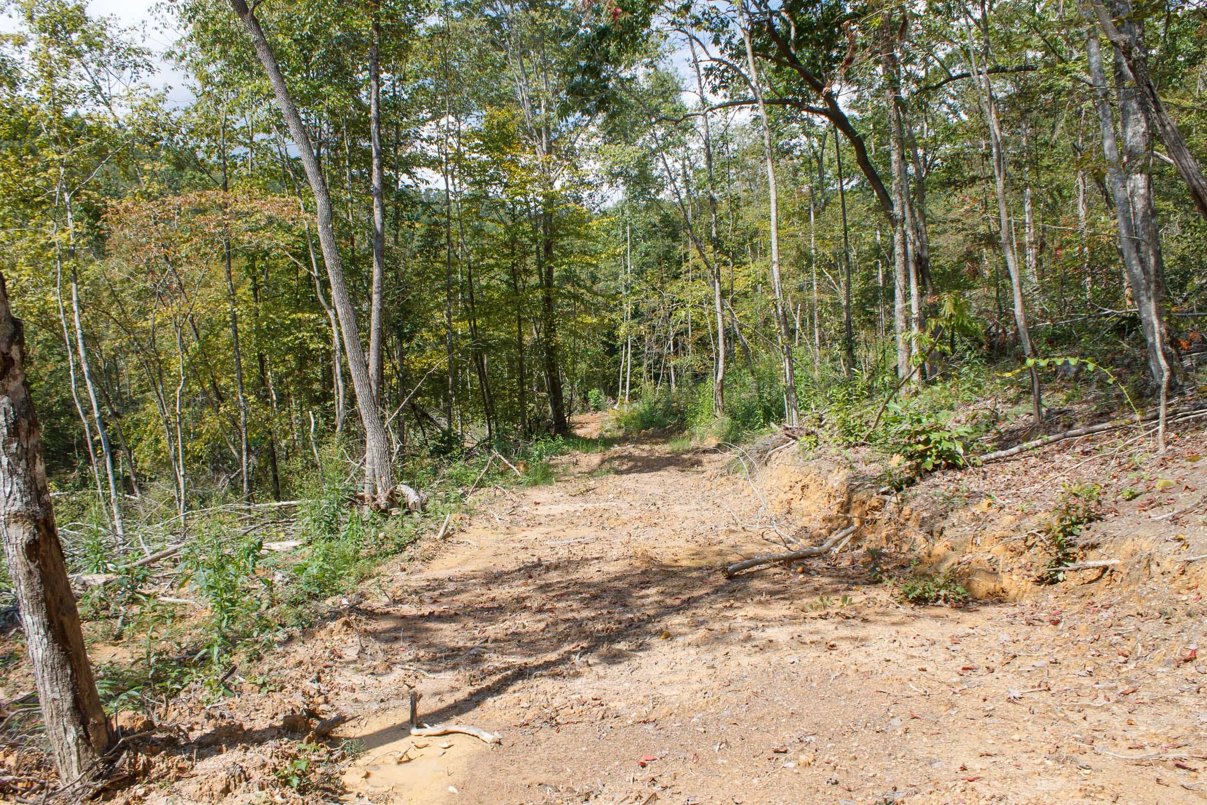 Wounded Oak Tract 15 photo 7