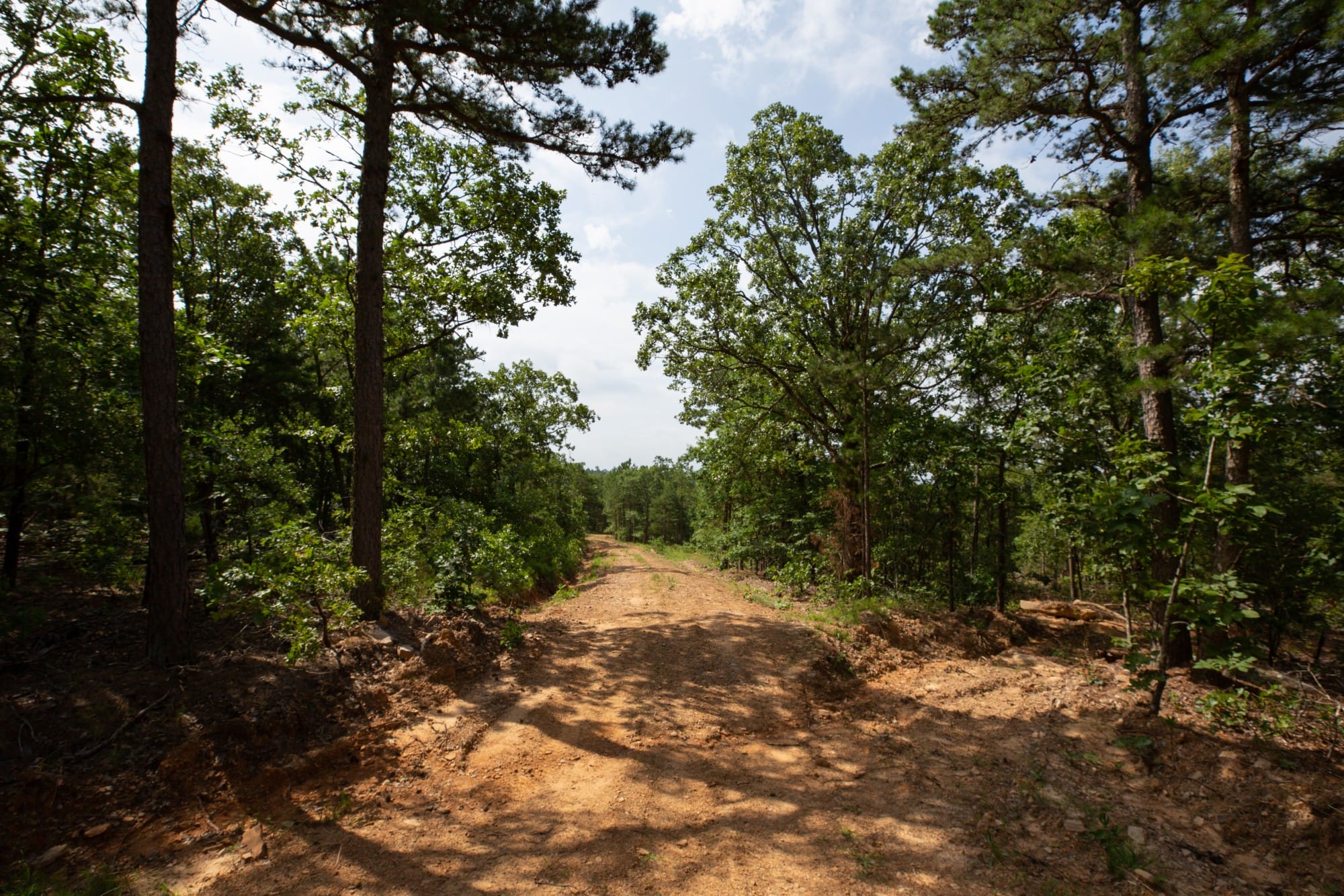 Eagle’s Nest Tract 41 photo 1