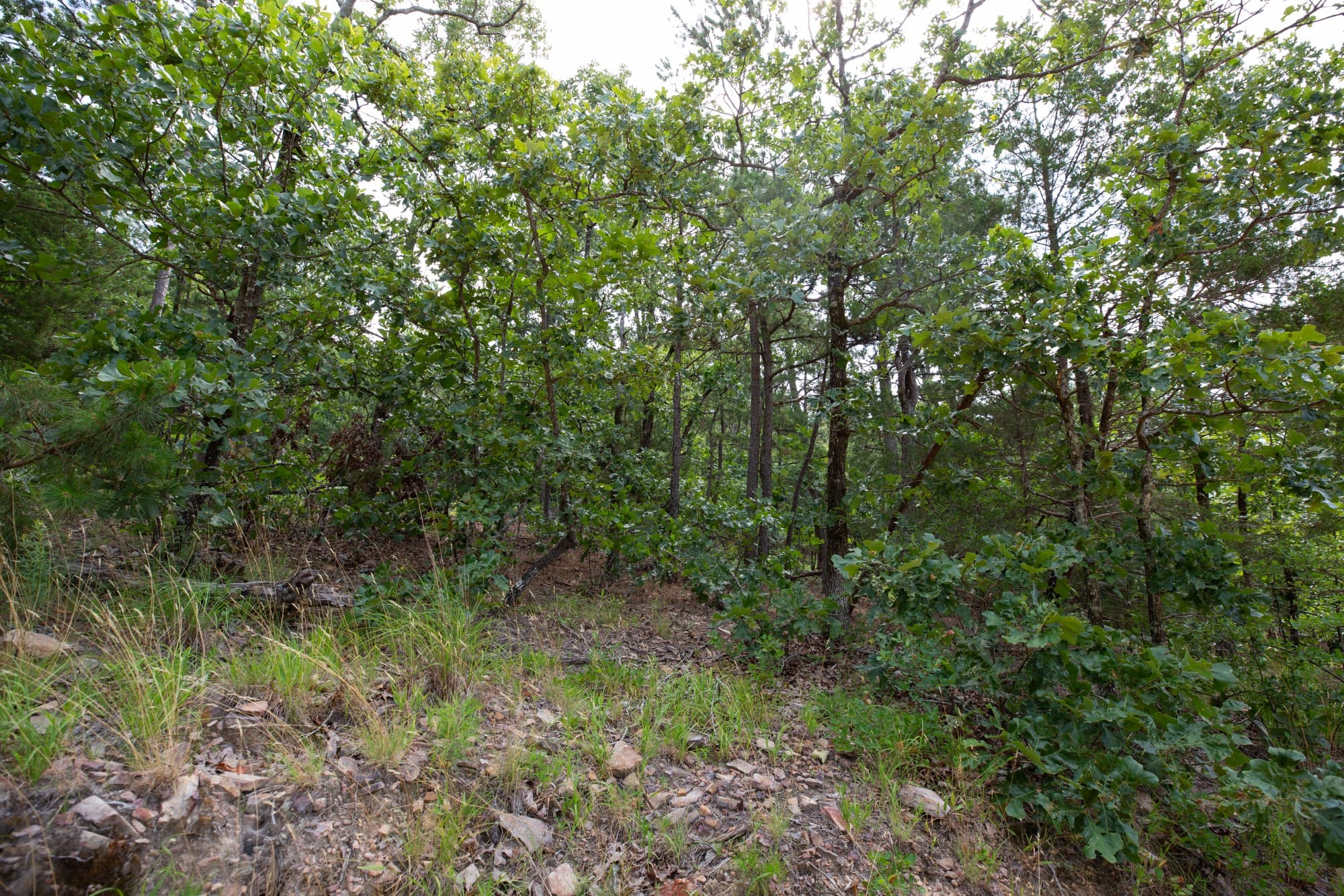 Eagle’s Nest Tract 41 photo 6