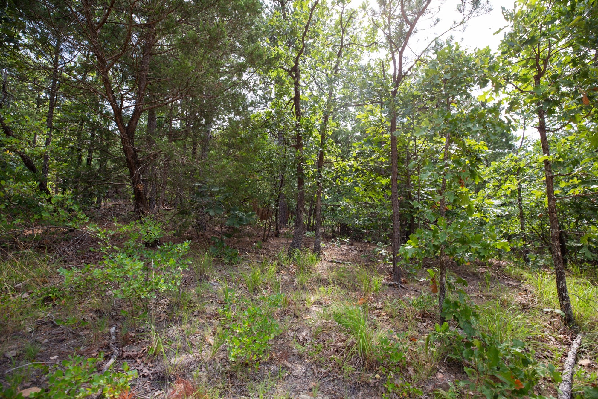 Eagle’s Nest Tract 41 photo 7