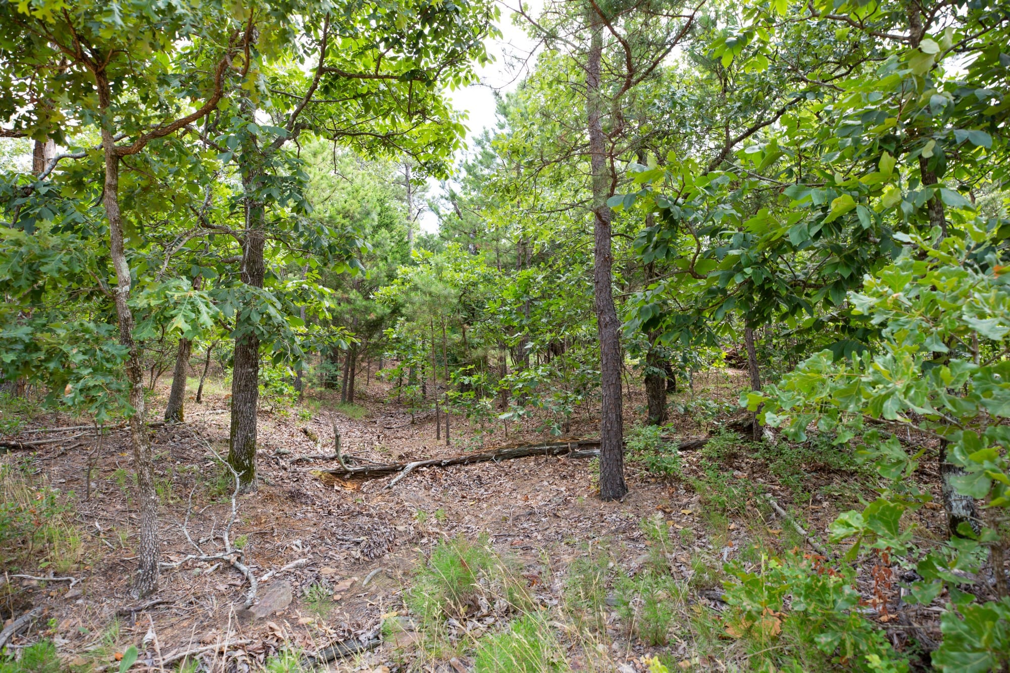 Eagle’s Nest Tract 41 photo 10