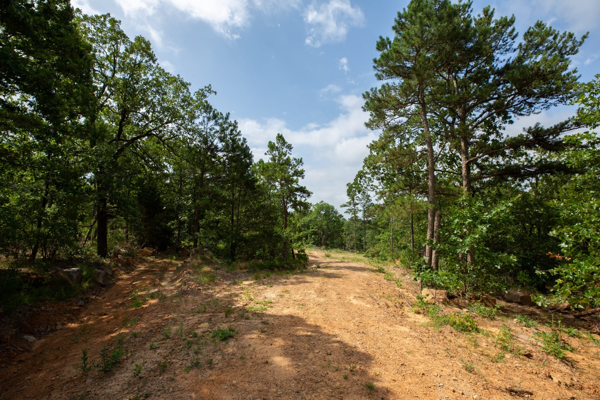 Eagle’s Nest Tract 41 photo 8