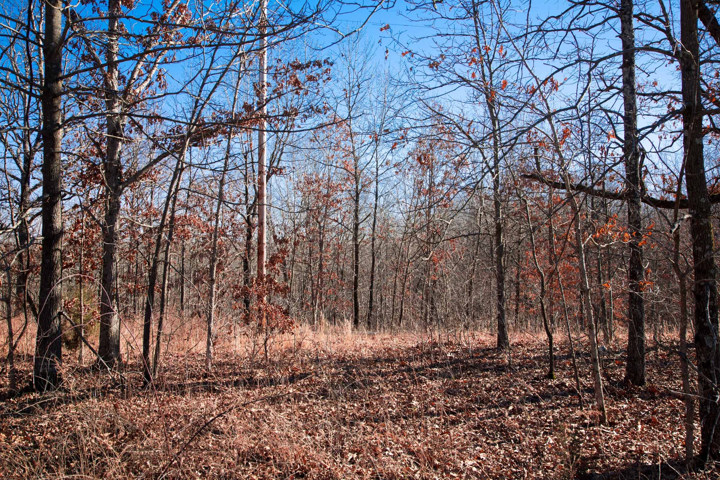 Buffalo Hills Tract 7 photo 1